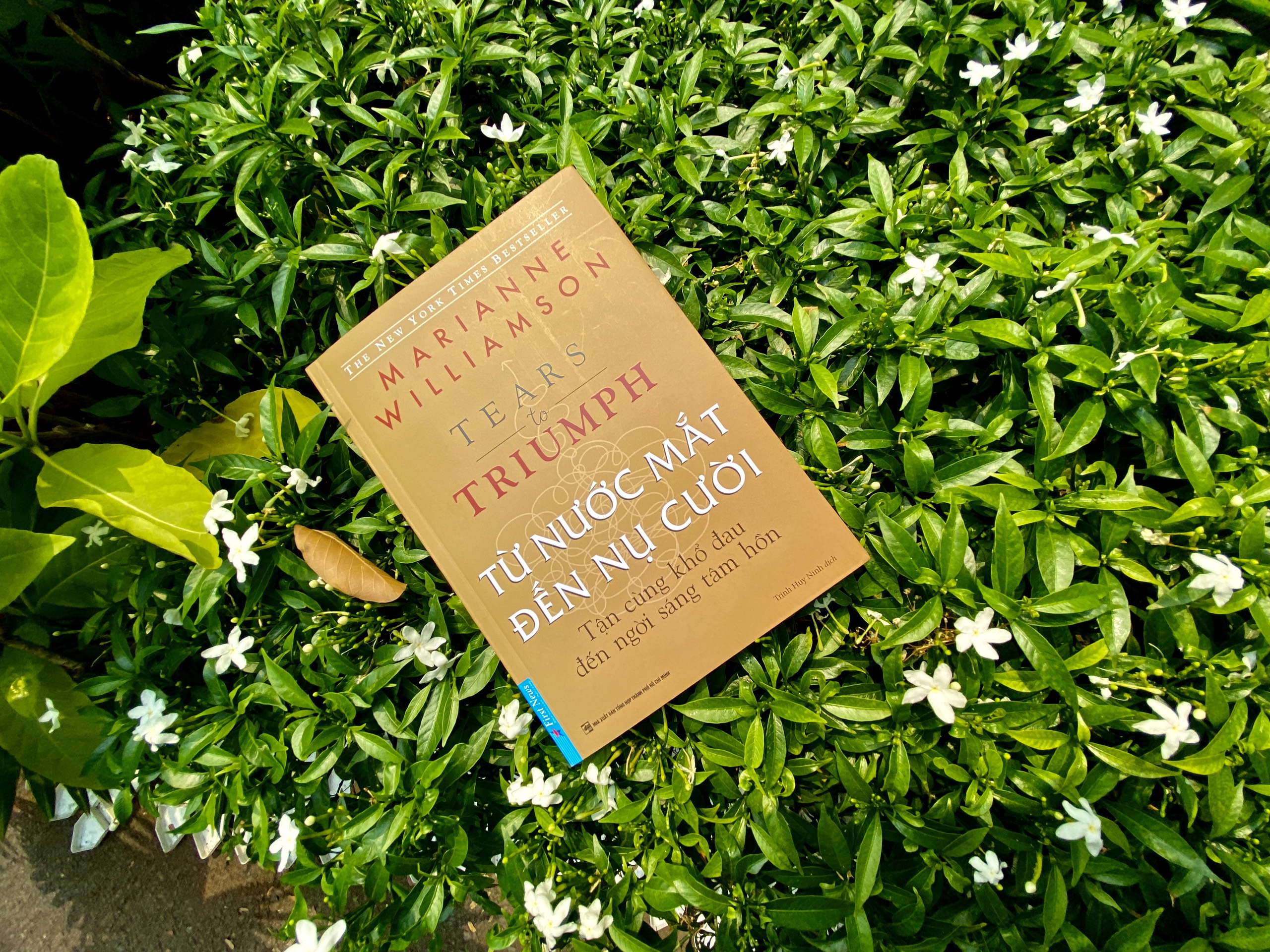 từ nước mắt đến nụ cười - tears to triumph