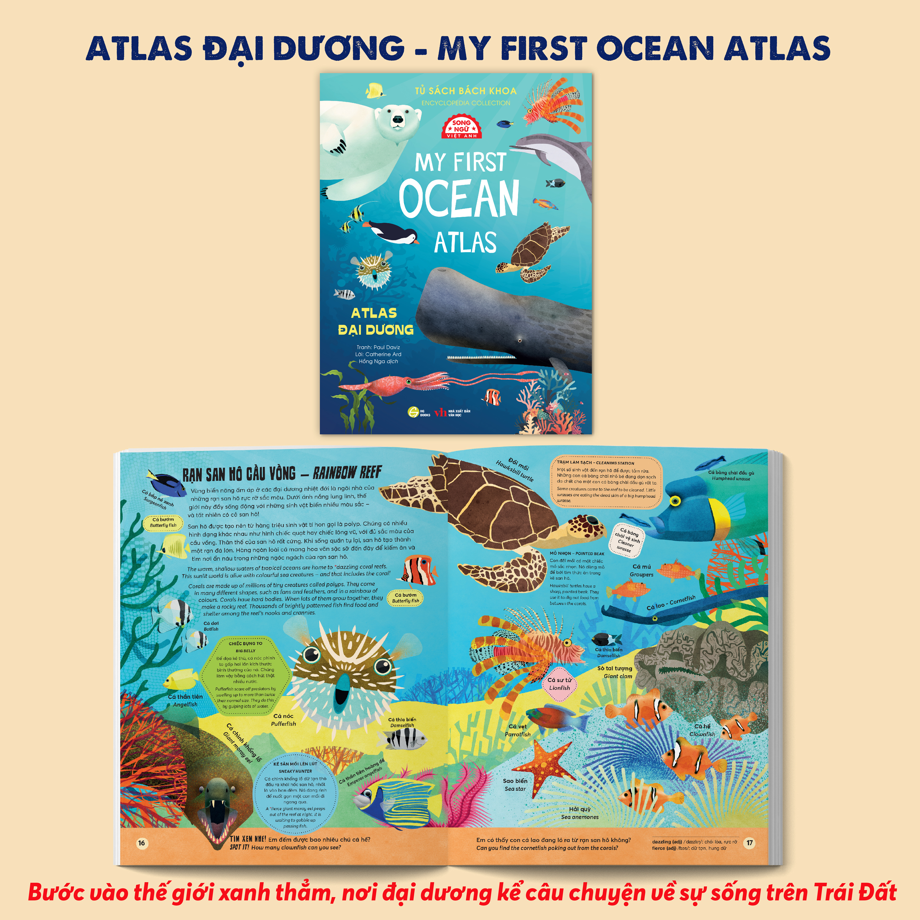 Tủ Sách Bách Khoa - Encyclopedia Collection - Atlas Đại Dương - My First Ocean Atlas - Song Ngữ Việt-Anh