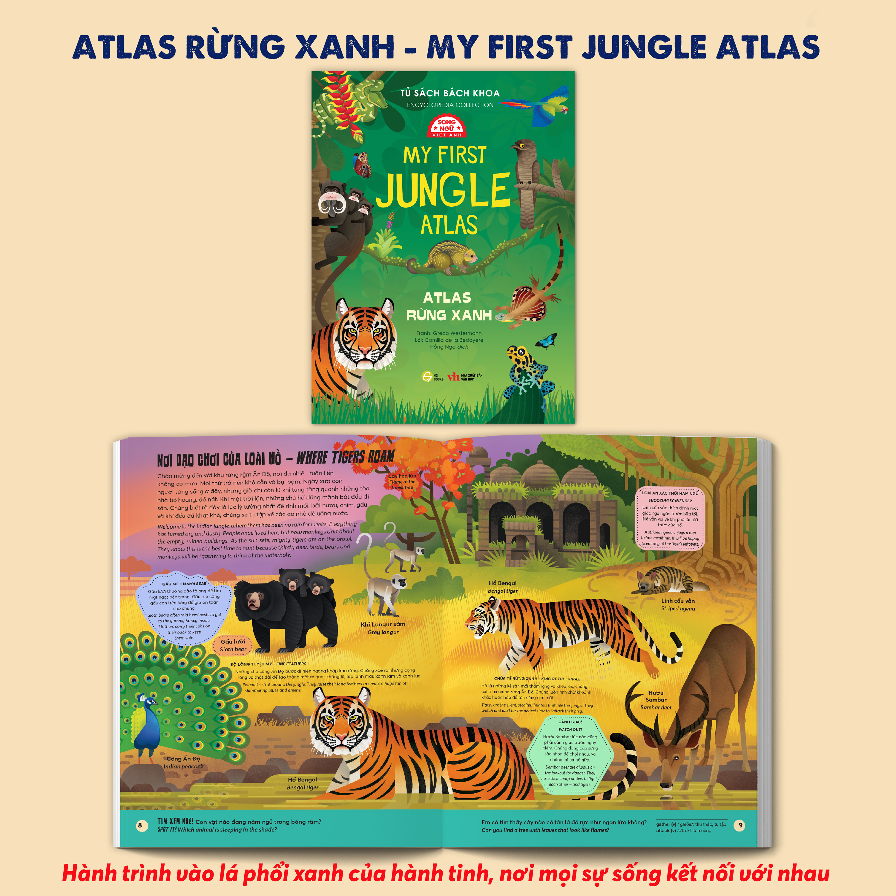 Tủ Sách Bách Khoa - Encyclopedia Collection - Atlas Rừng Xanh - My First Jungle Atlas - Song Ngữ Việt-Anh
