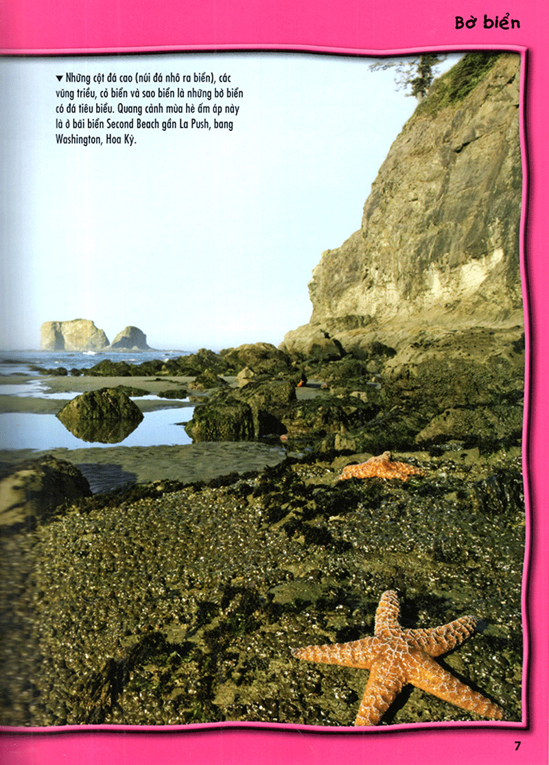 tủ sách bách khoa tri thức - 500 dữ kiện khoa học về đại dương - bìa cứng