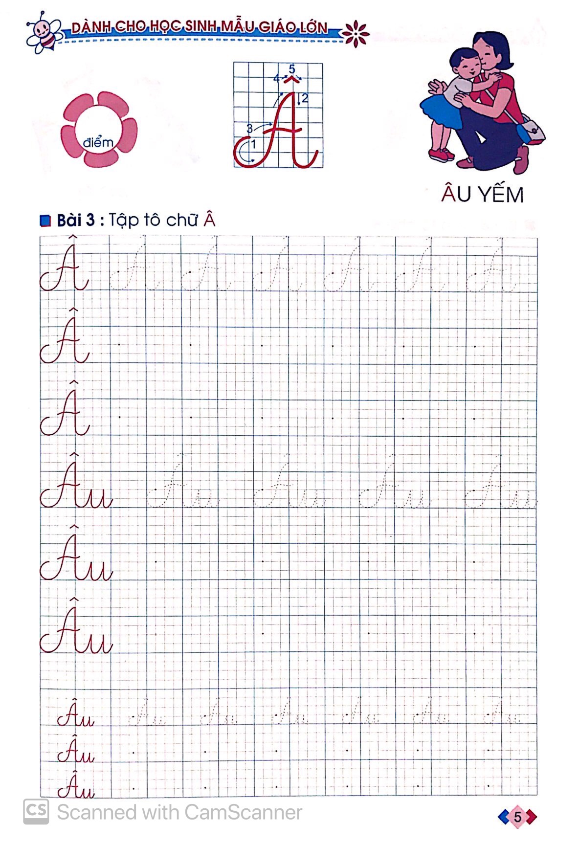tủ sách cho bé vào lớp 1 - bé tập tô chữ hoa dành cho học sinh mẫu giáo lớn