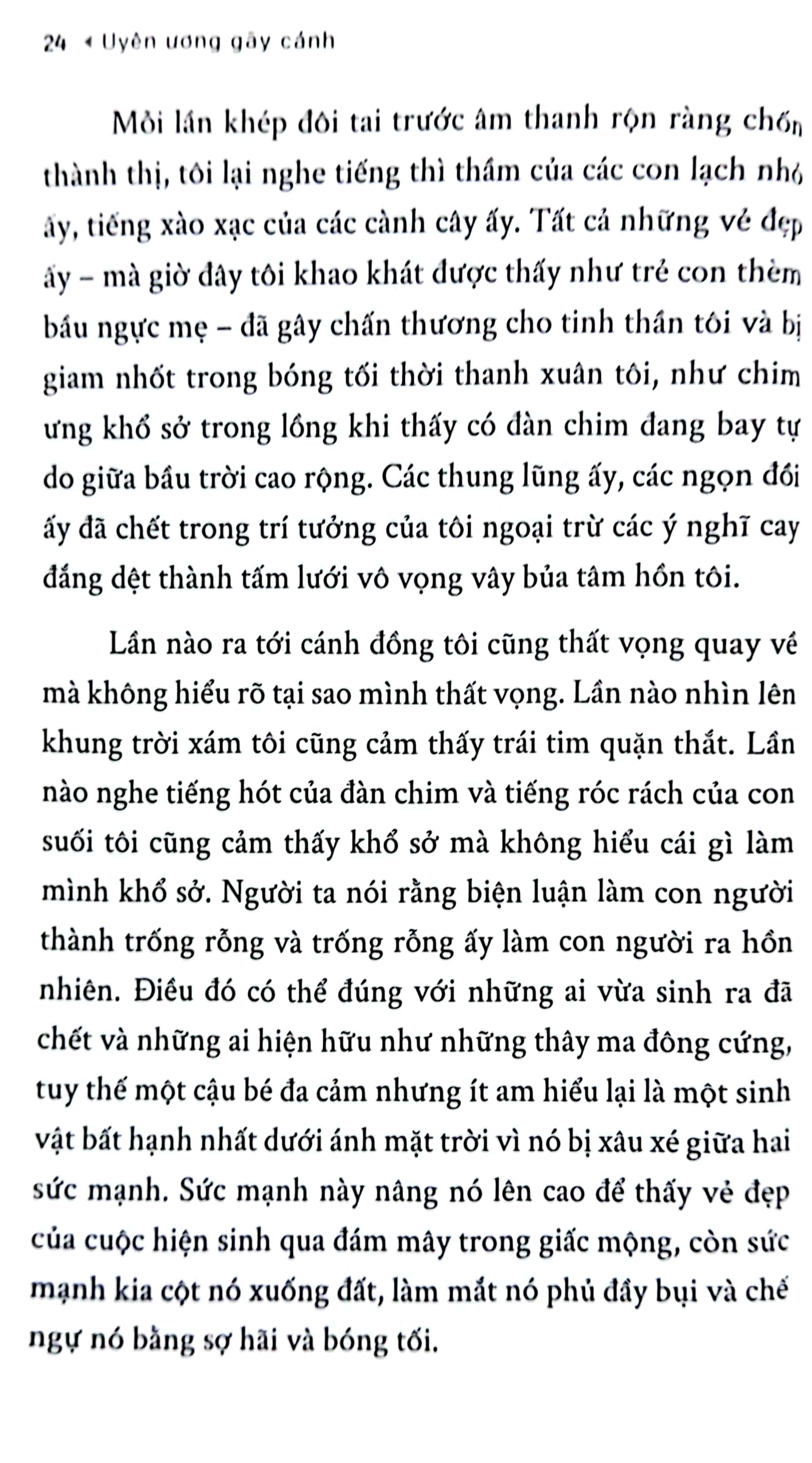 tủ sách đời người: uyên ương gãy cánh
