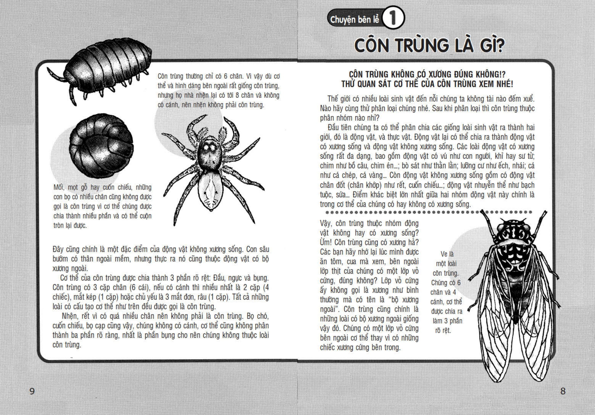 Tu Sach Khoa Hoc - Shin - Cau Be But Chi - Kham Pha The Gioi Con Trung (Tai Ban 2025)