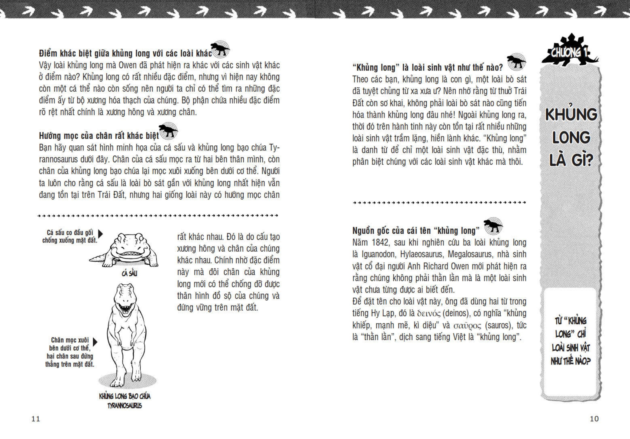 Tu Sach Khoa Hoc - Shin - Cau Be But Chi - Kham Pha The Gioi Khung Long (Tai Ban 2025)
