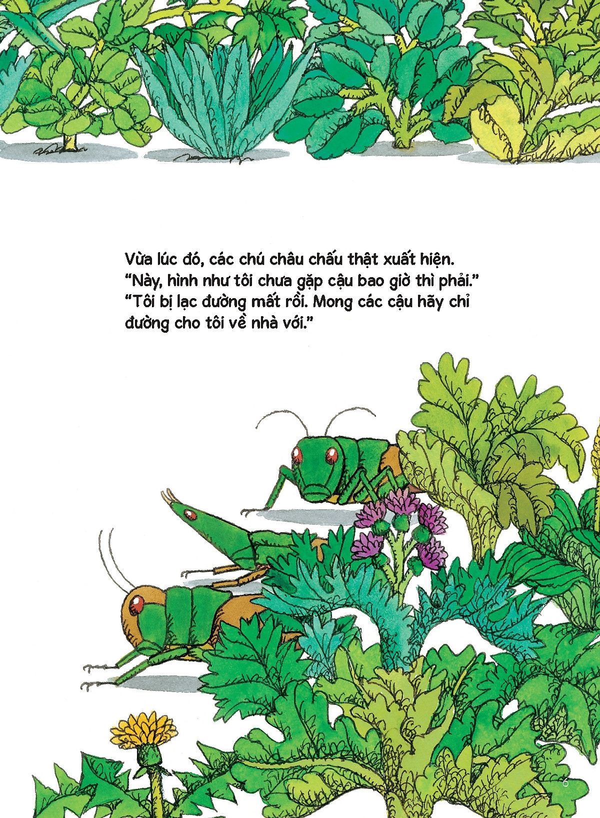 tủ sách nuôi dưỡng tâm hồn - con châu chấu đồ chơi