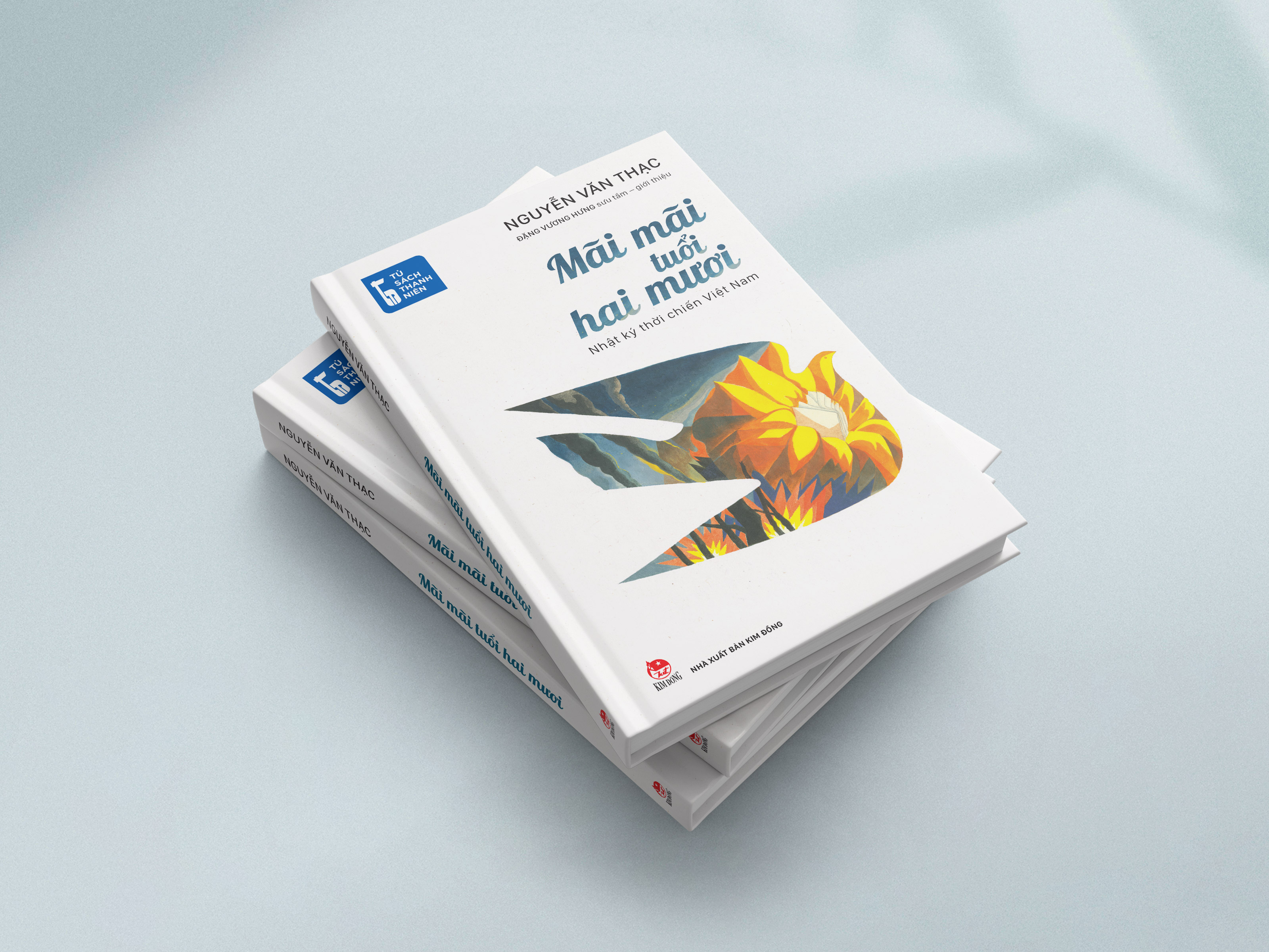Tu Sach Thanh Nien - Mai Mai Tuoi Hai Muoi - Nhat Ky Thoi Chien Viet Nam - Bia Cung - Doc Quyen Fahasa