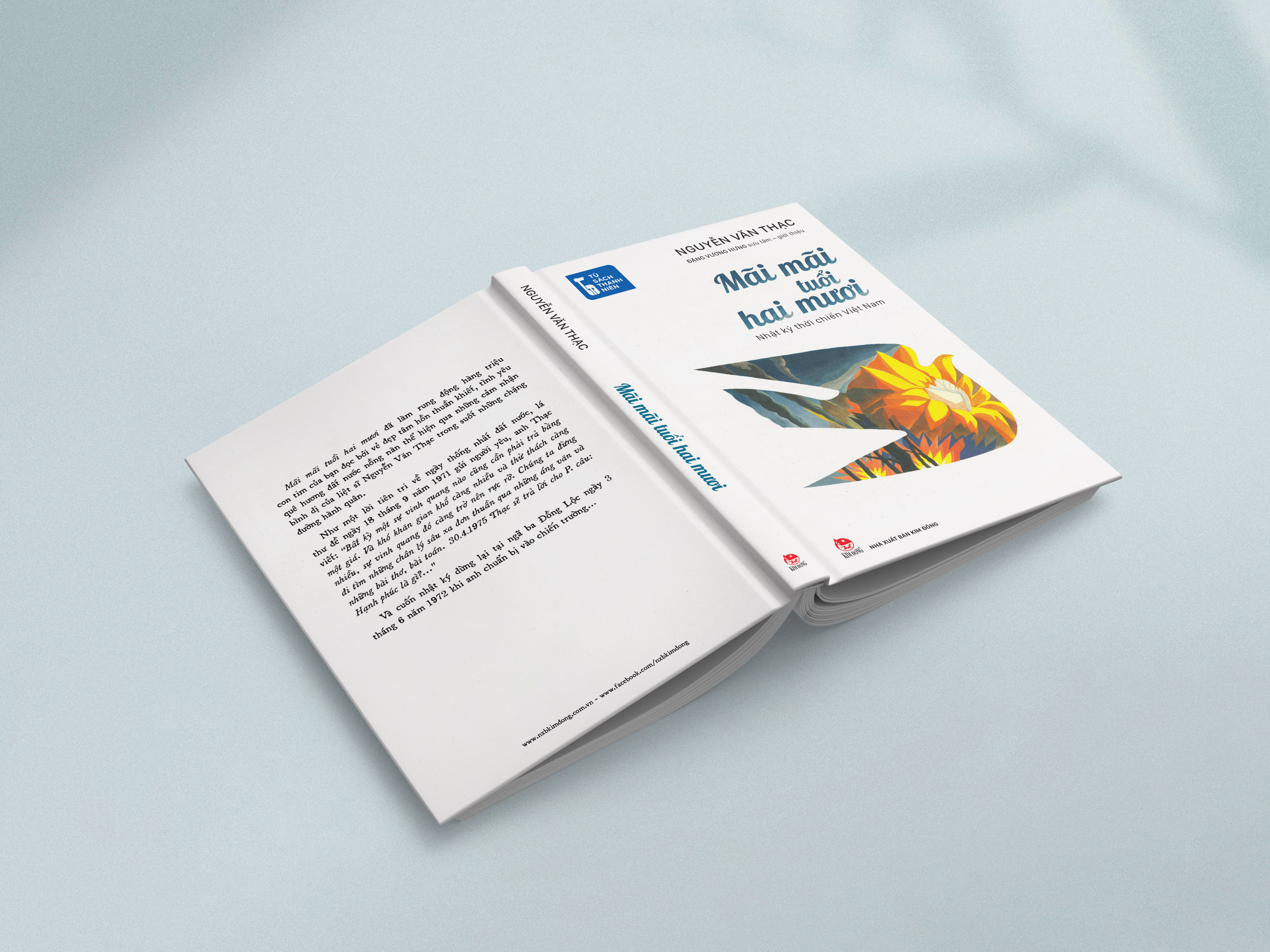 Tu Sach Thanh Nien - Mai Mai Tuoi Hai Muoi - Nhat Ky Thoi Chien Viet Nam - Bia Cung - Doc Quyen Fahasa