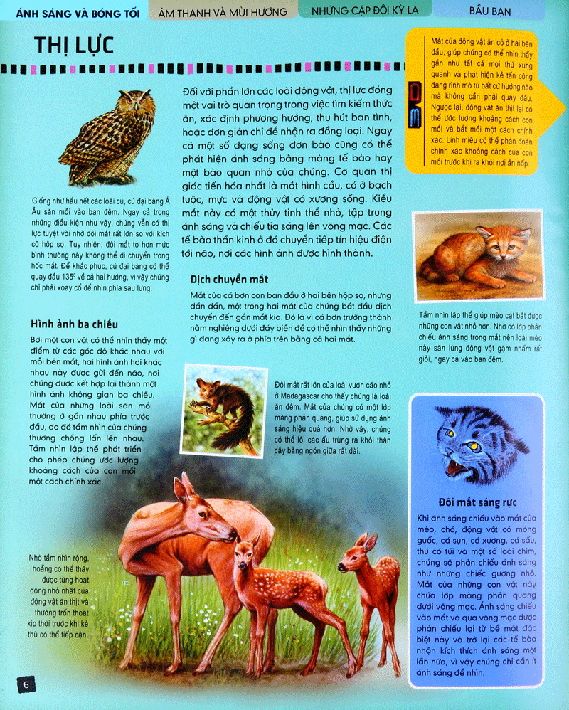 tủ sách thế giới động vật - giác quan và giao tiếp (hình minh họa 3d)