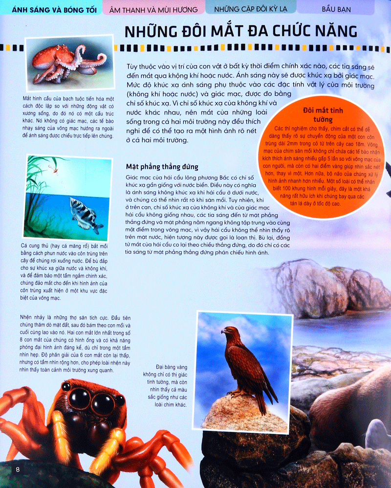 tủ sách thế giới động vật - giác quan và giao tiếp (hình minh họa 3d)