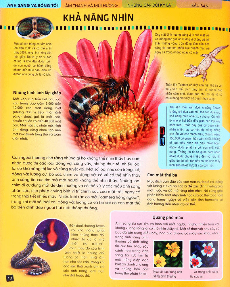 tủ sách thế giới động vật - giác quan và giao tiếp (hình minh họa 3d)