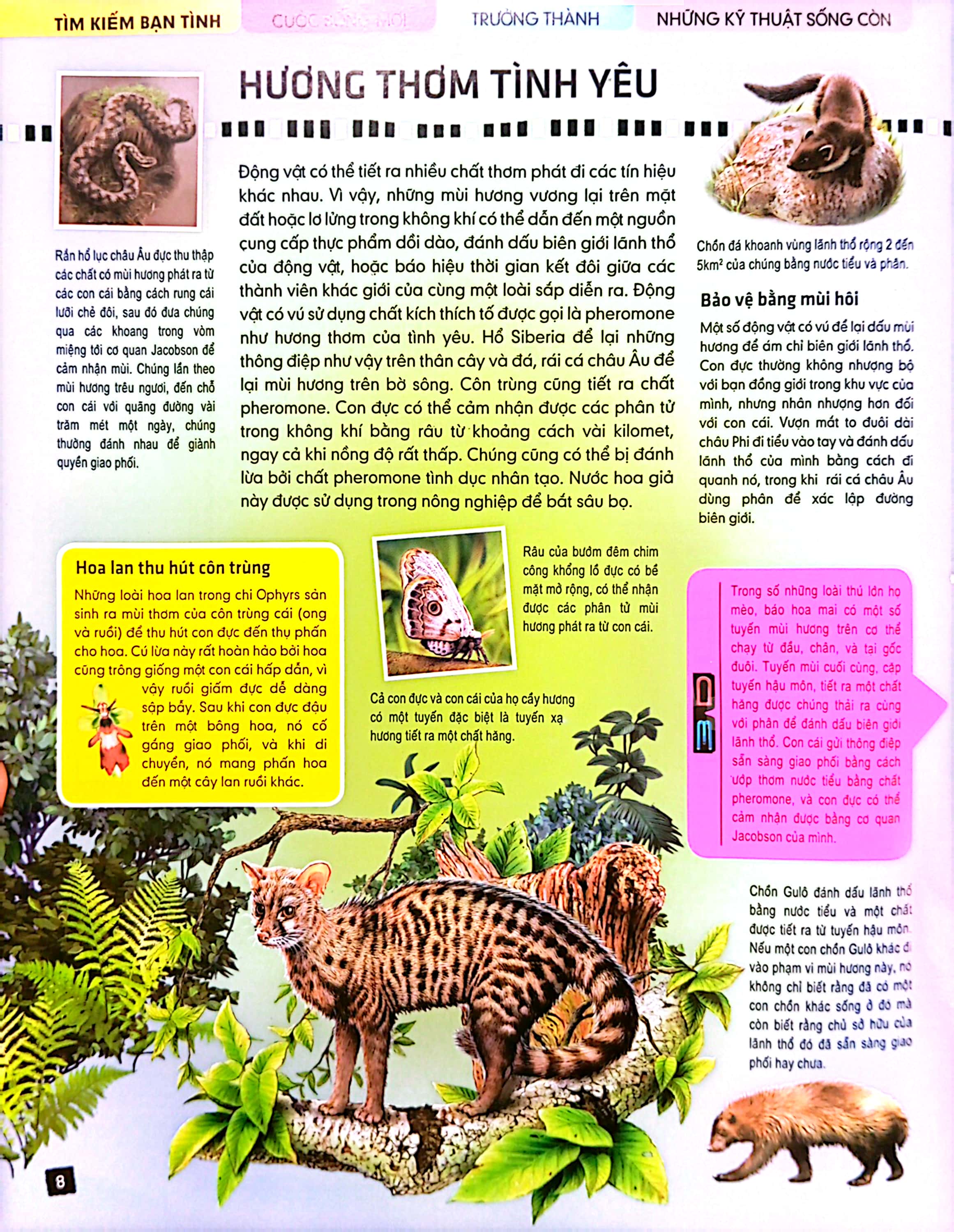 tủ sách thế giới động vật - kết đôi và sinh sản (hình minh họa 3d)