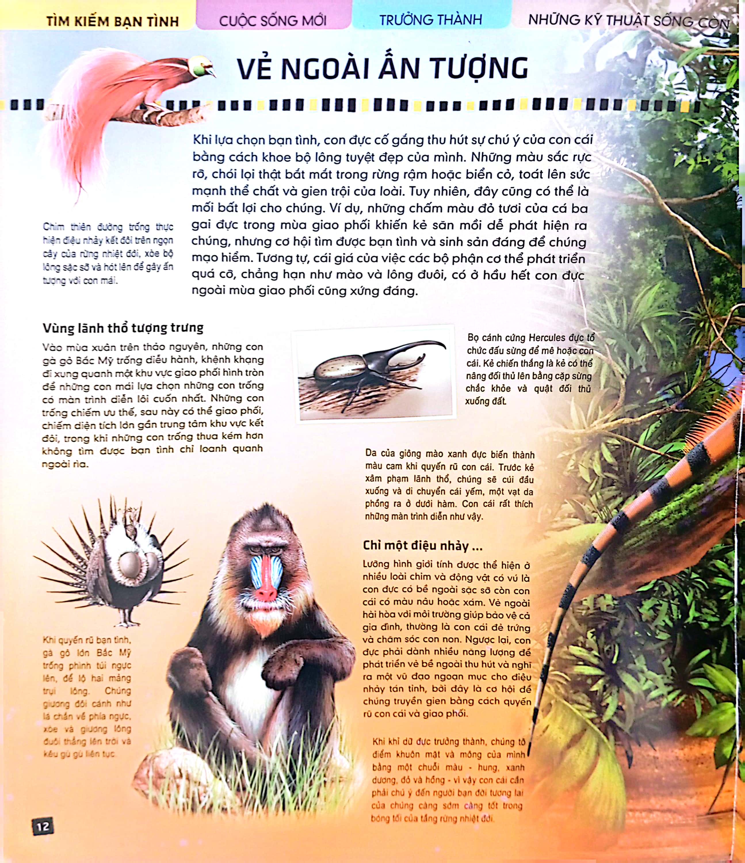 tủ sách thế giới động vật - kết đôi và sinh sản (hình minh họa 3d)