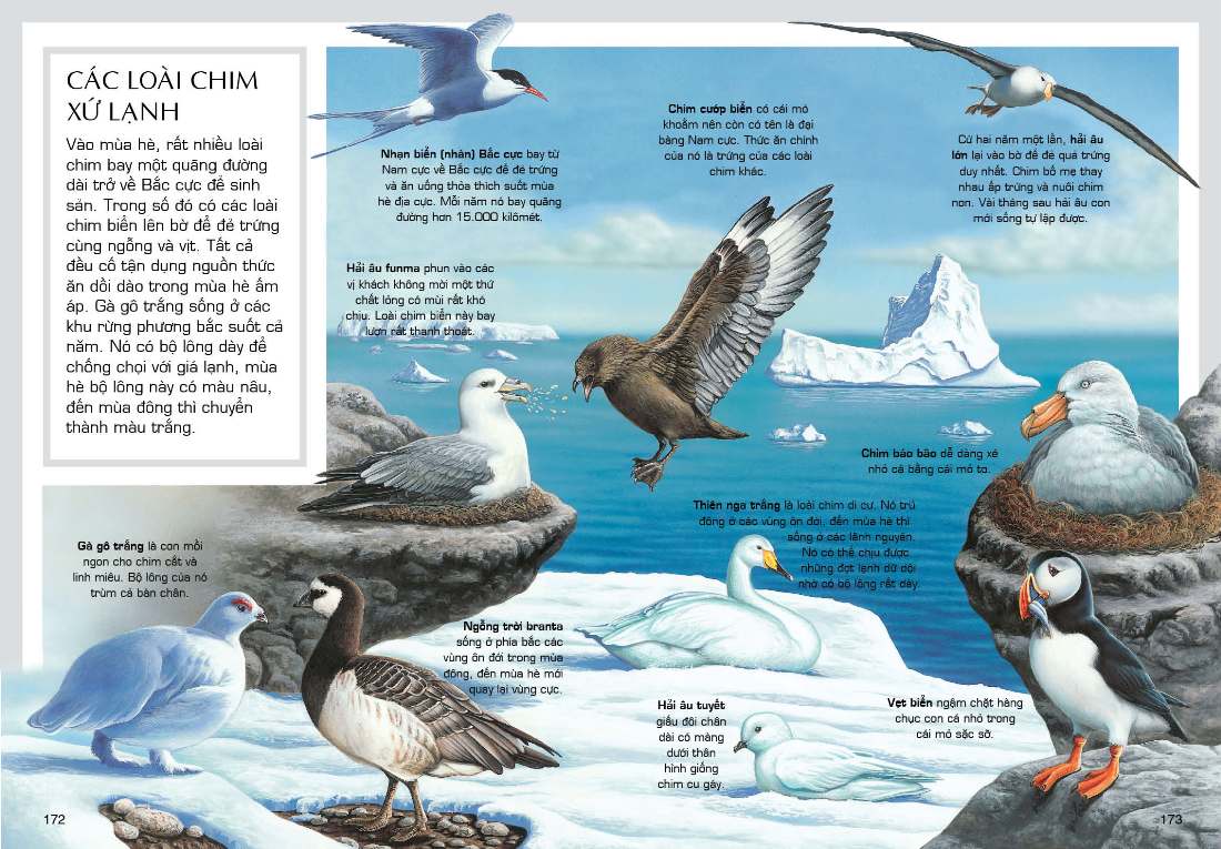 tủ sách tri thức bách khoa bằng hình - thế giới động vật (tái bản 2018)