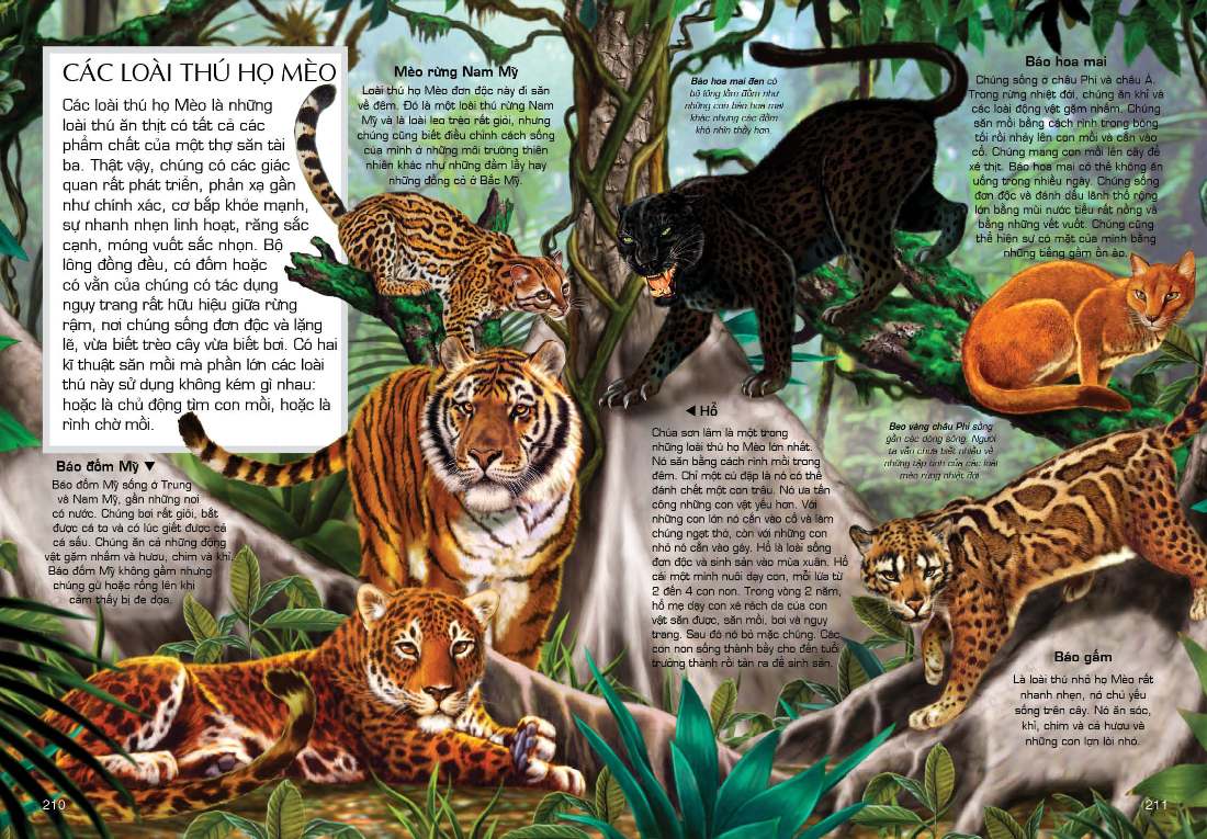 tủ sách tri thức bách khoa bằng hình - thế giới động vật (tái bản 2018)