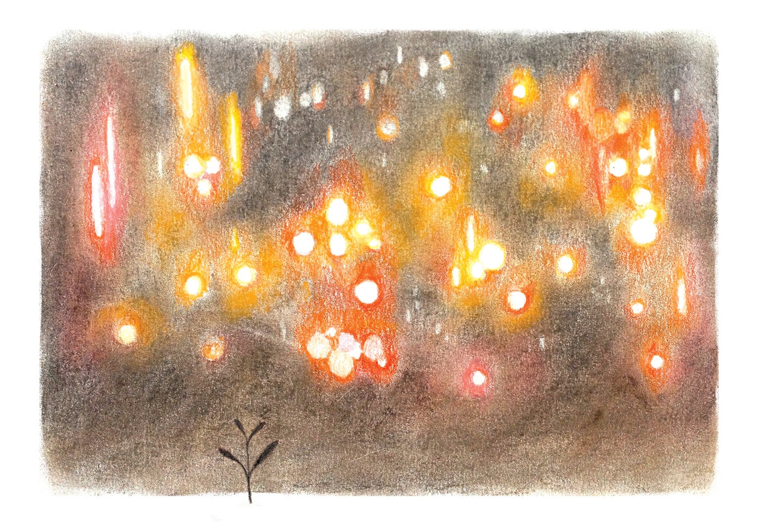 tủ sách tuổi mới lớn - cúc dại và tia nắng