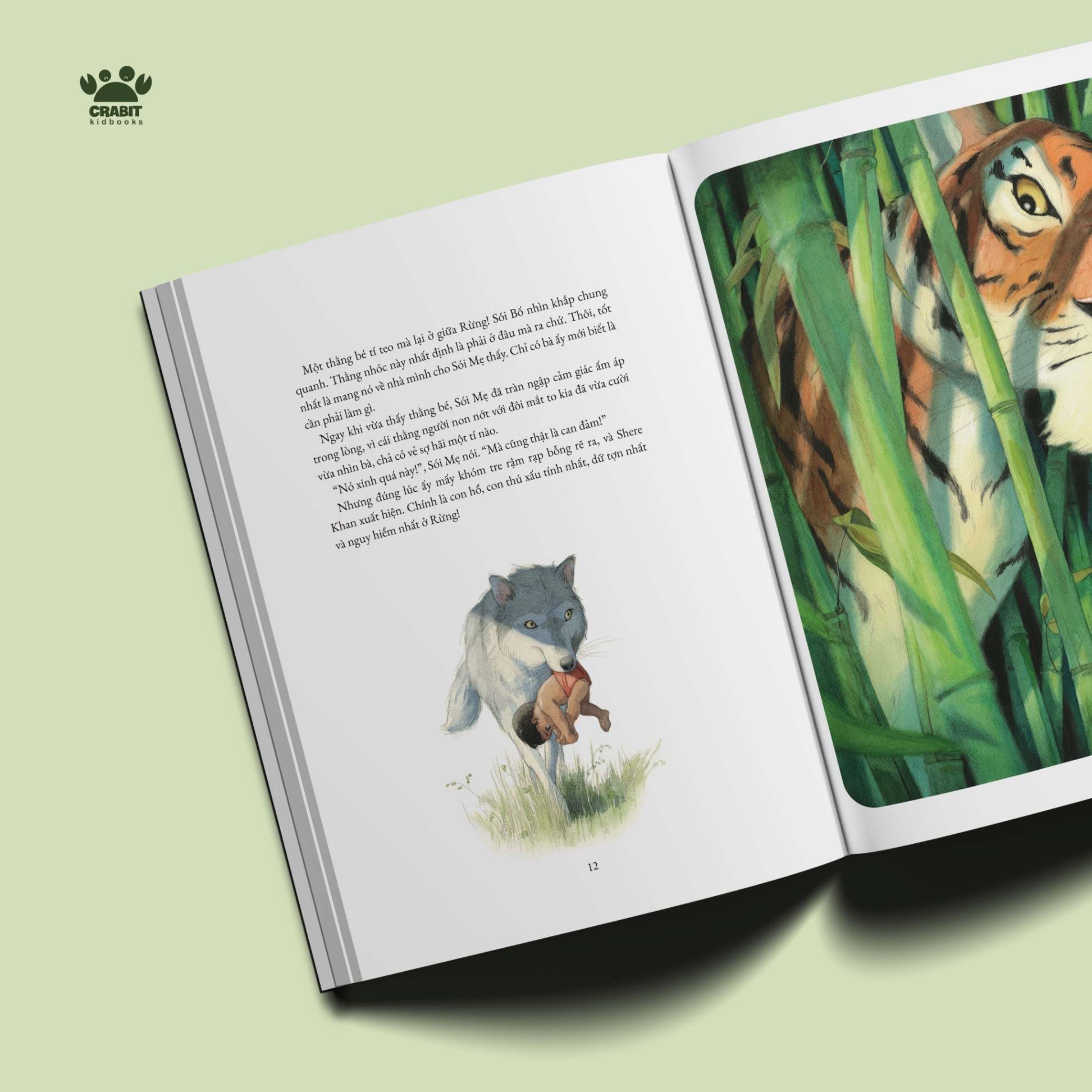 tủ sách văn học - chuyện rừng xanh - bìa cứng