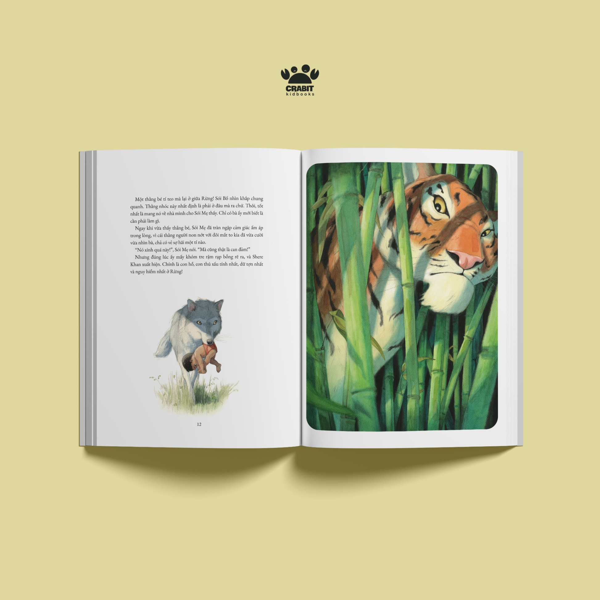 tủ sách văn học - chuyện rừng xanh - bìa cứng