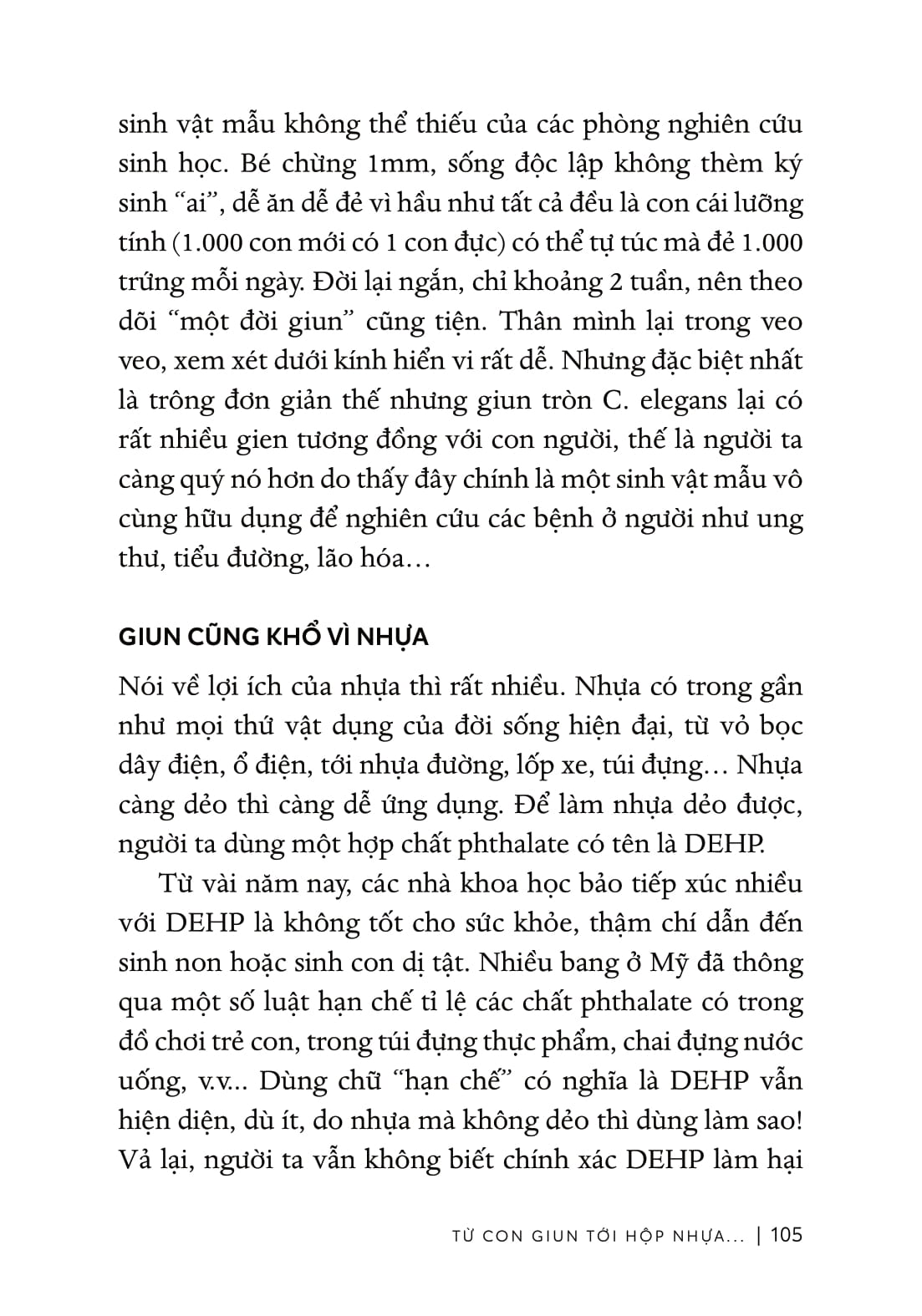 Tu Su Mat Ngu Cua Ruoi