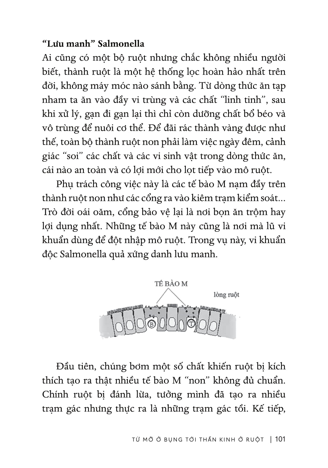 Tu Su Mat Ngu Cua Ruoi