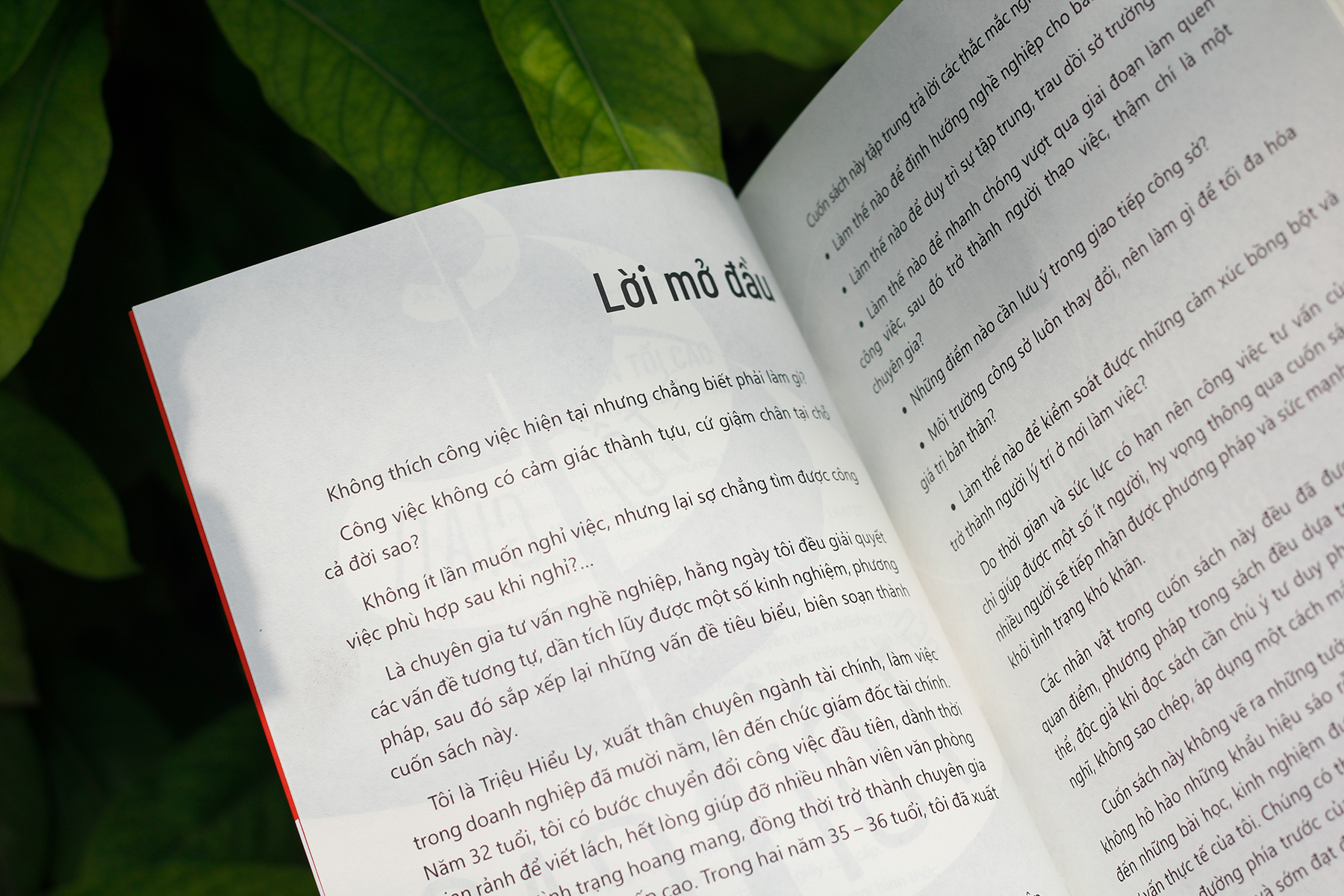 từ tối giản đến tối cao - chiến lược nghề nghiệp trong thời đại vuca