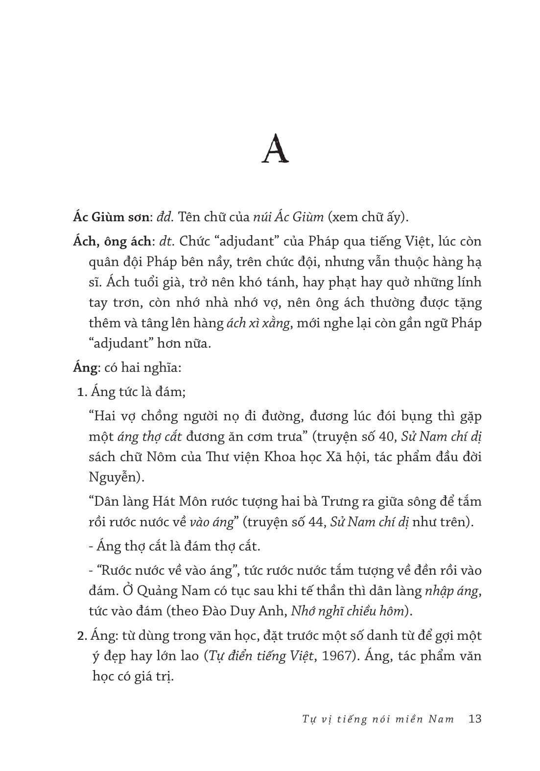 Tự Vị Tiếng Nói Miền Nam - Bìa Cứng