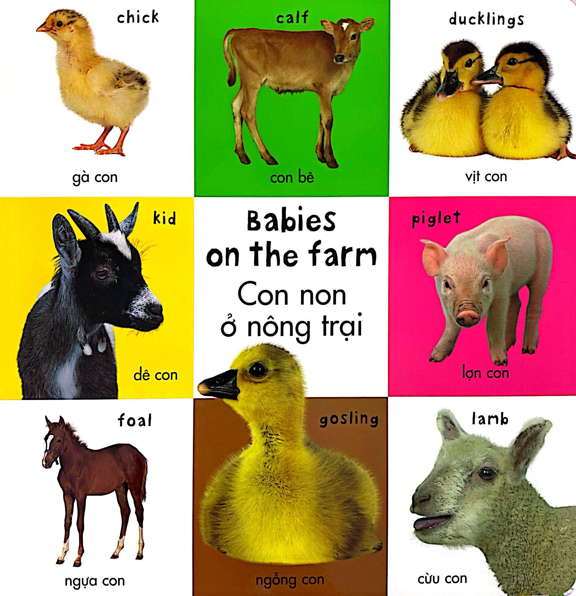 từ vựng đầu đời của bé - 100 loài động vật đầu tiên