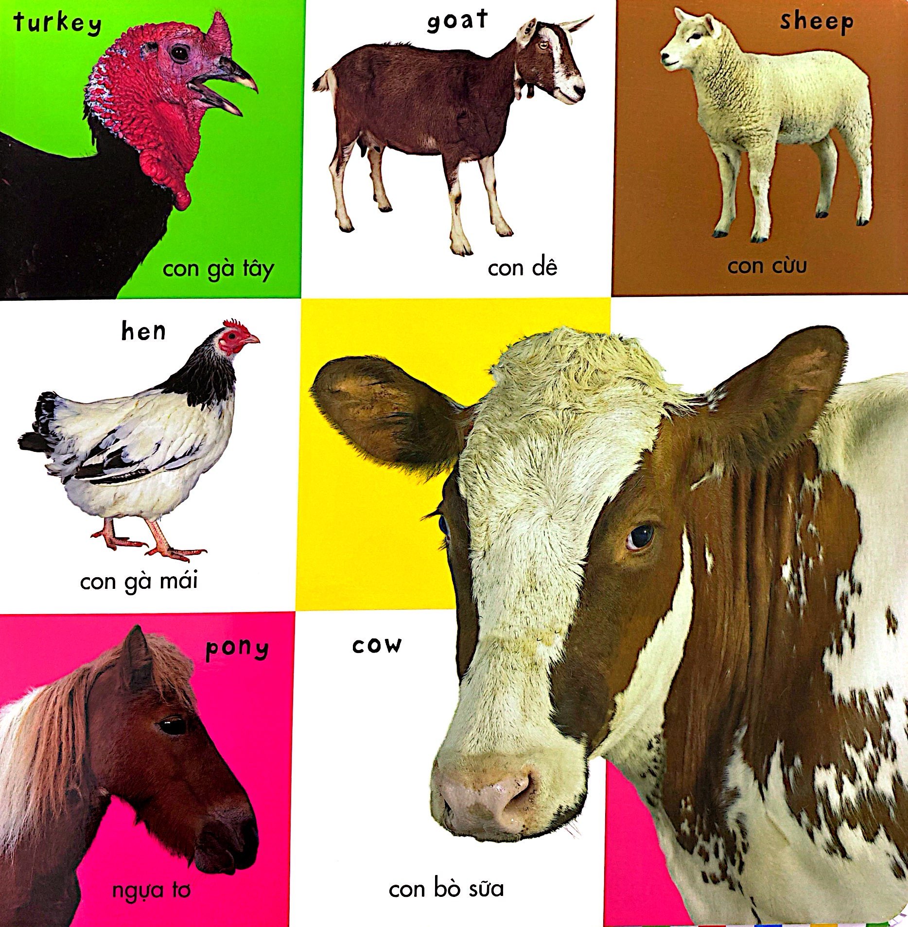 từ vựng đầu đời của bé - 100 loài động vật đầu tiên