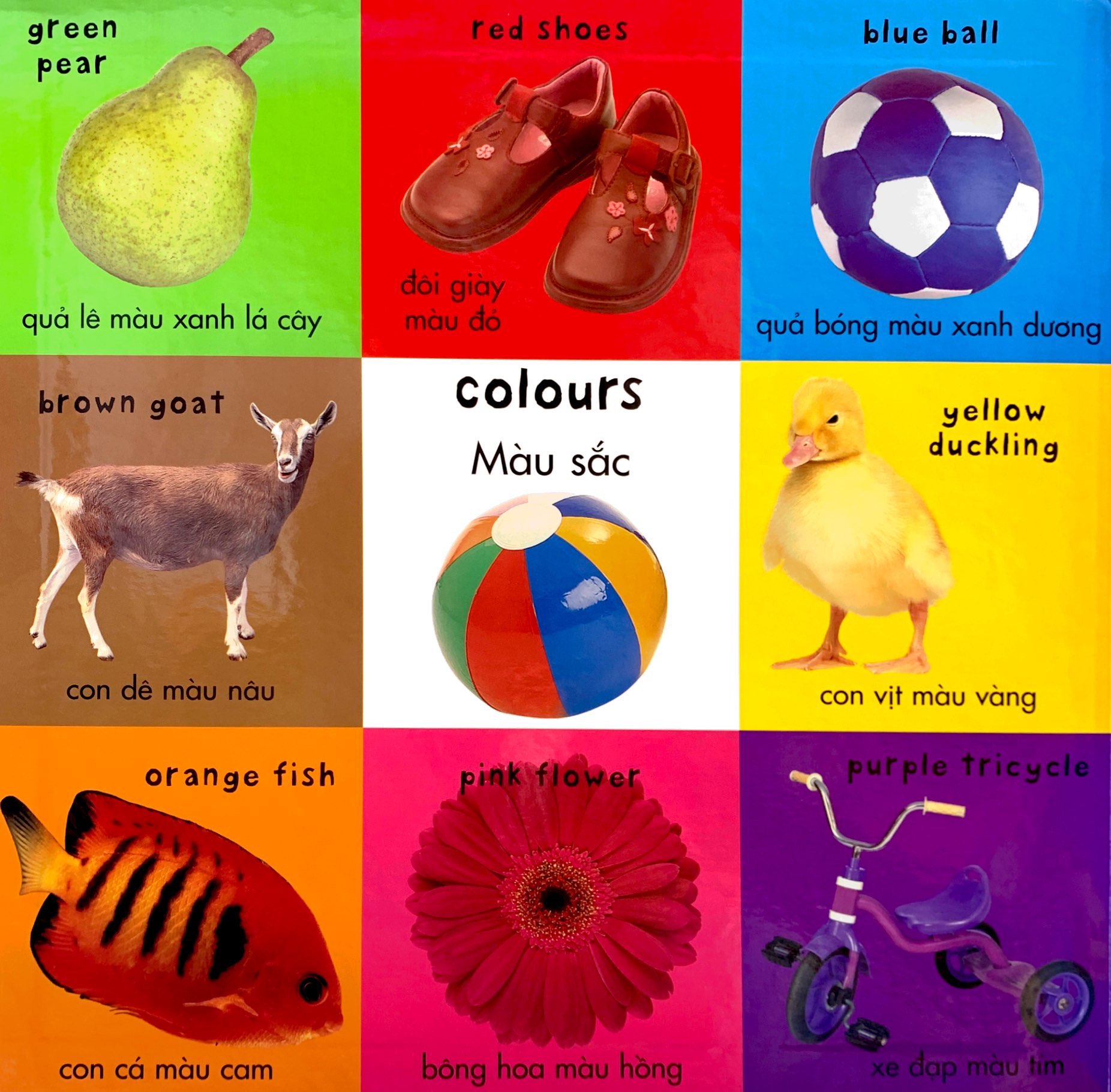 từ vựng đầu đời của bé - 100 từ vựng đầu tiên