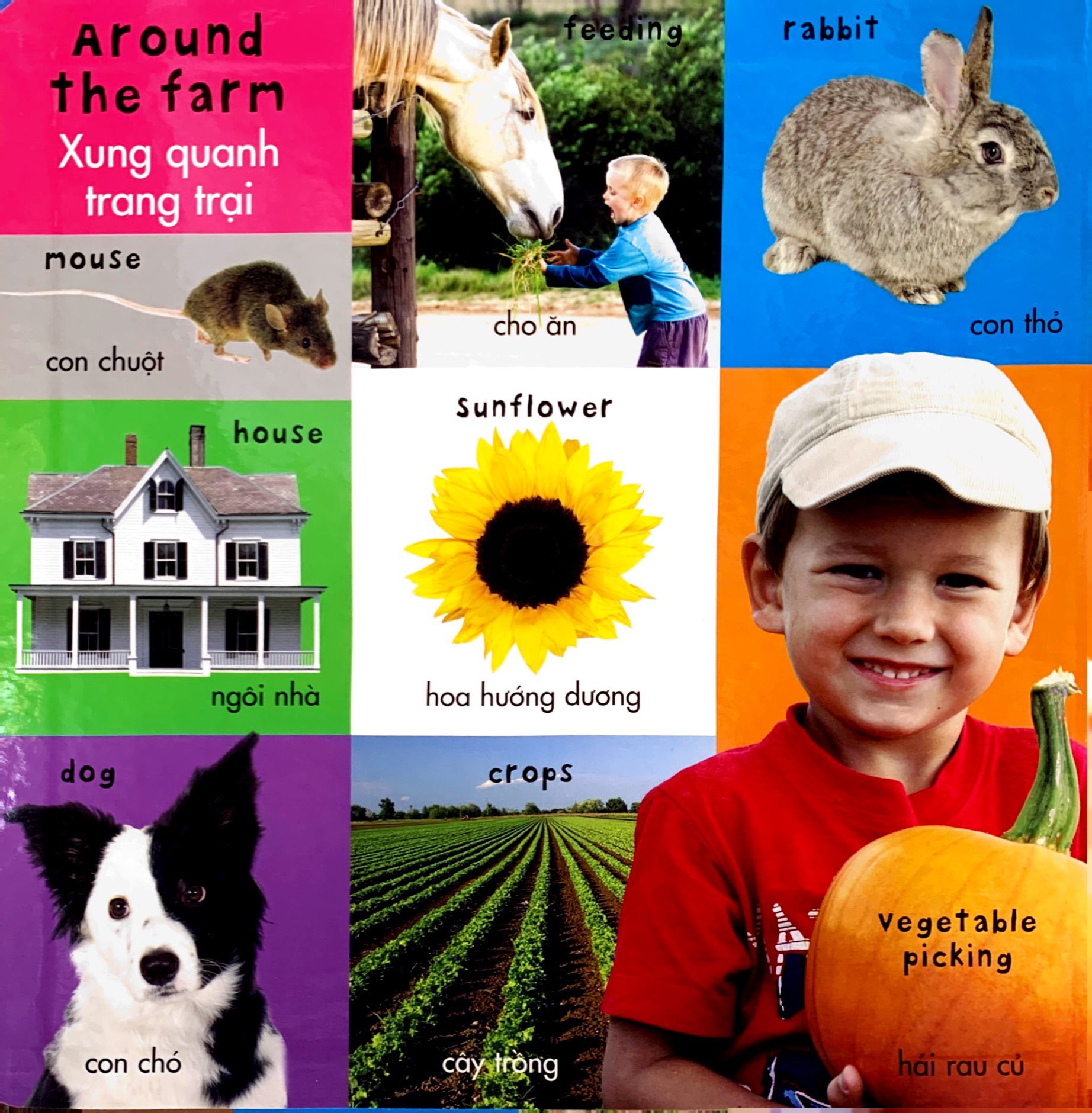 từ vựng đầu đời của bé - 100 từ vựng đầu tiên về trang trại