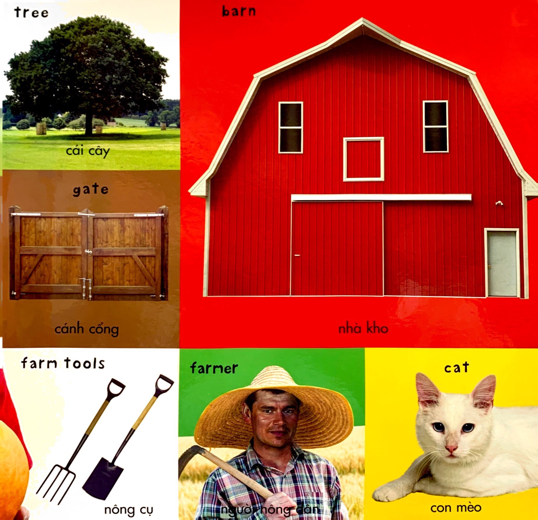 từ vựng đầu đời của bé - 100 từ vựng đầu tiên về trang trại