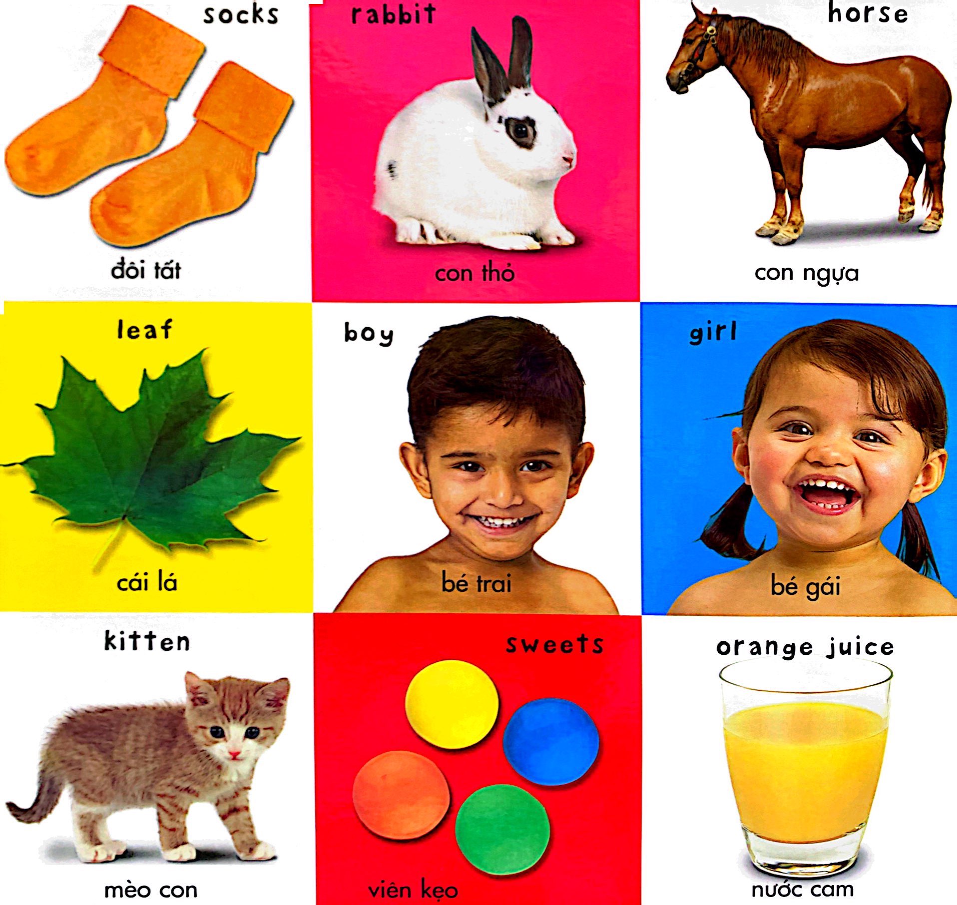 từ vựng đầu đời của bé - số đếm, màu sắc, hình dạng