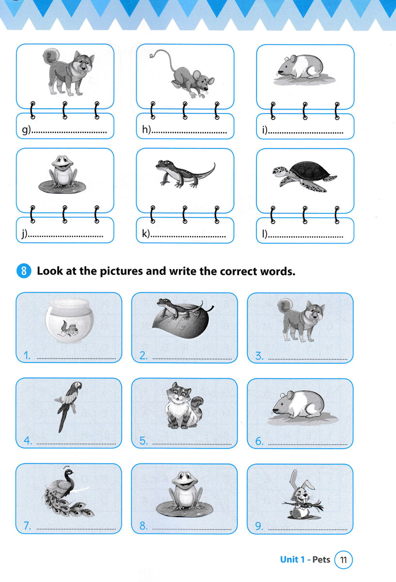từ vựng tiếng anh theo chủ đề lớp 3