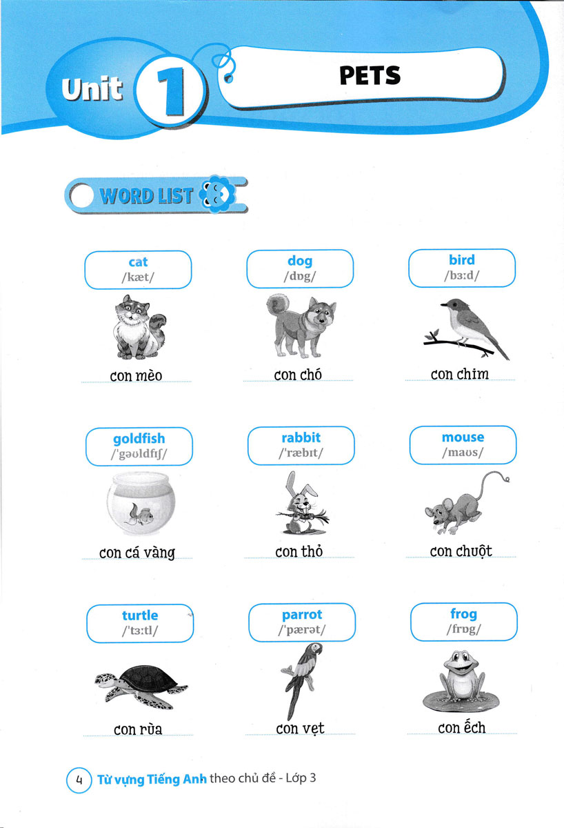 từ vựng tiếng anh theo chủ đề lớp 3