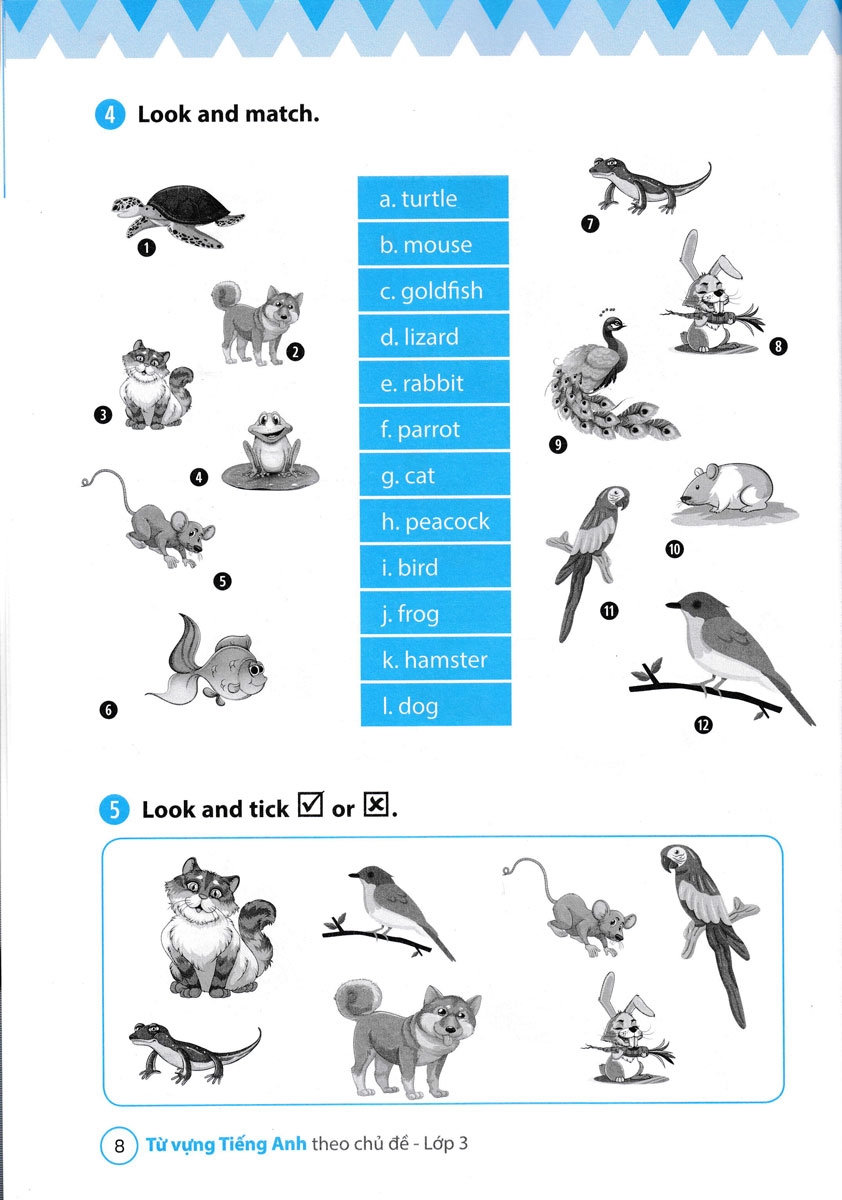 từ vựng tiếng anh theo chủ đề lớp 3