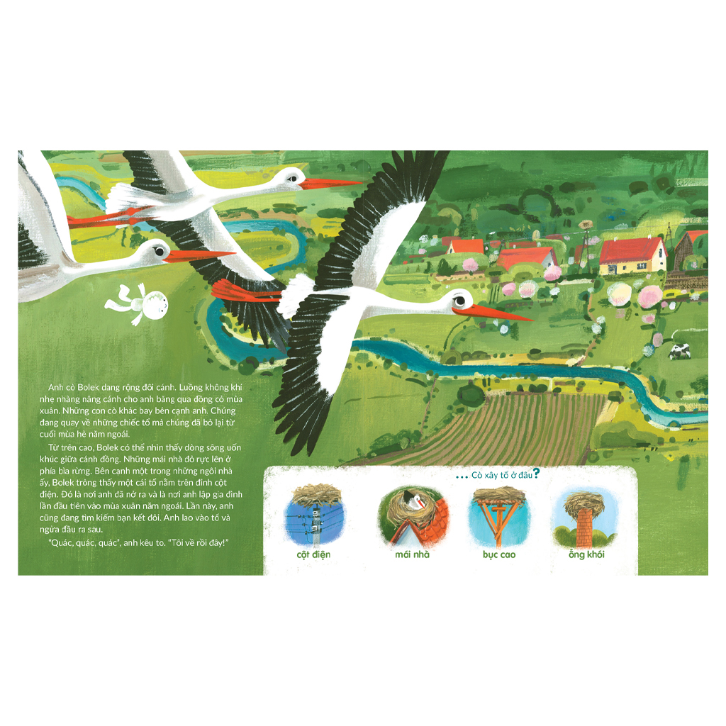 tuli tuli kể chuyện nhà ai ở đâu - nhà chim trên đồng cỏ