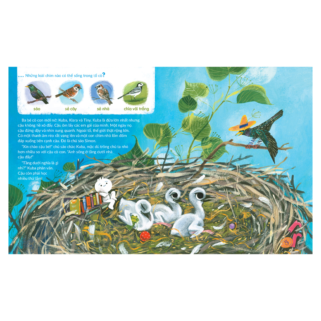 tuli tuli kể chuyện nhà ai ở đâu - nhà chim trên đồng cỏ