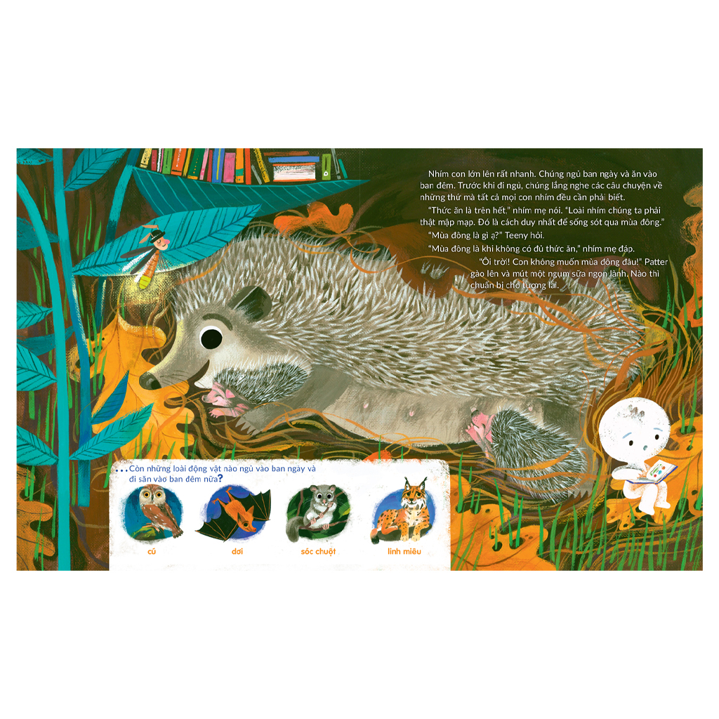 tuli tuli kể chuyện nhà ai ở đâu - nhà nhím nơi công viên