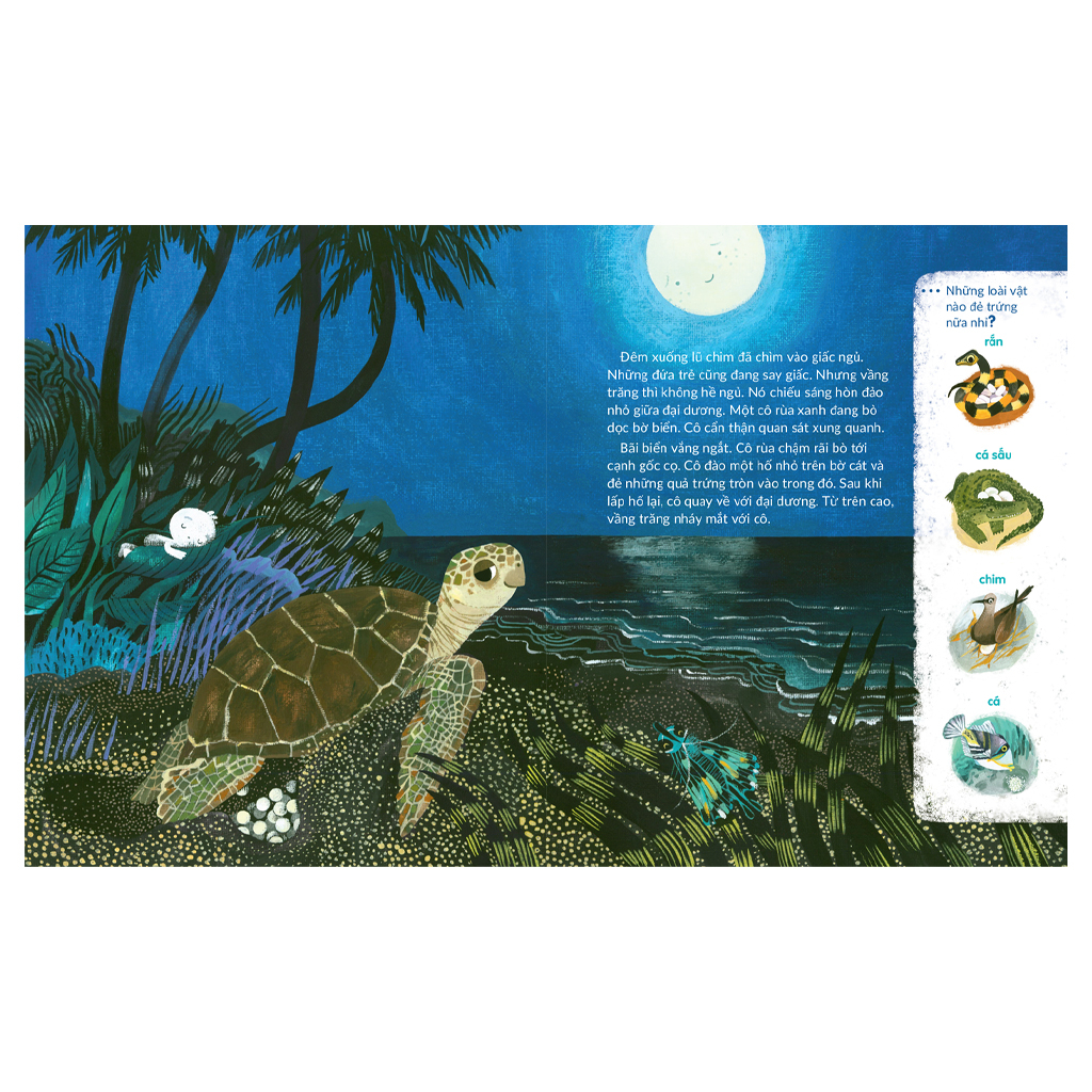 tuli tuli kể chuyện nhà ai ở đâu - nhà rùa dưới đại dương