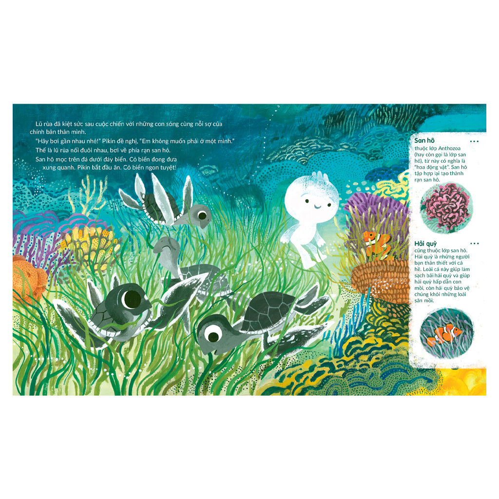 tuli tuli kể chuyện nhà ai ở đâu - nhà rùa dưới đại dương