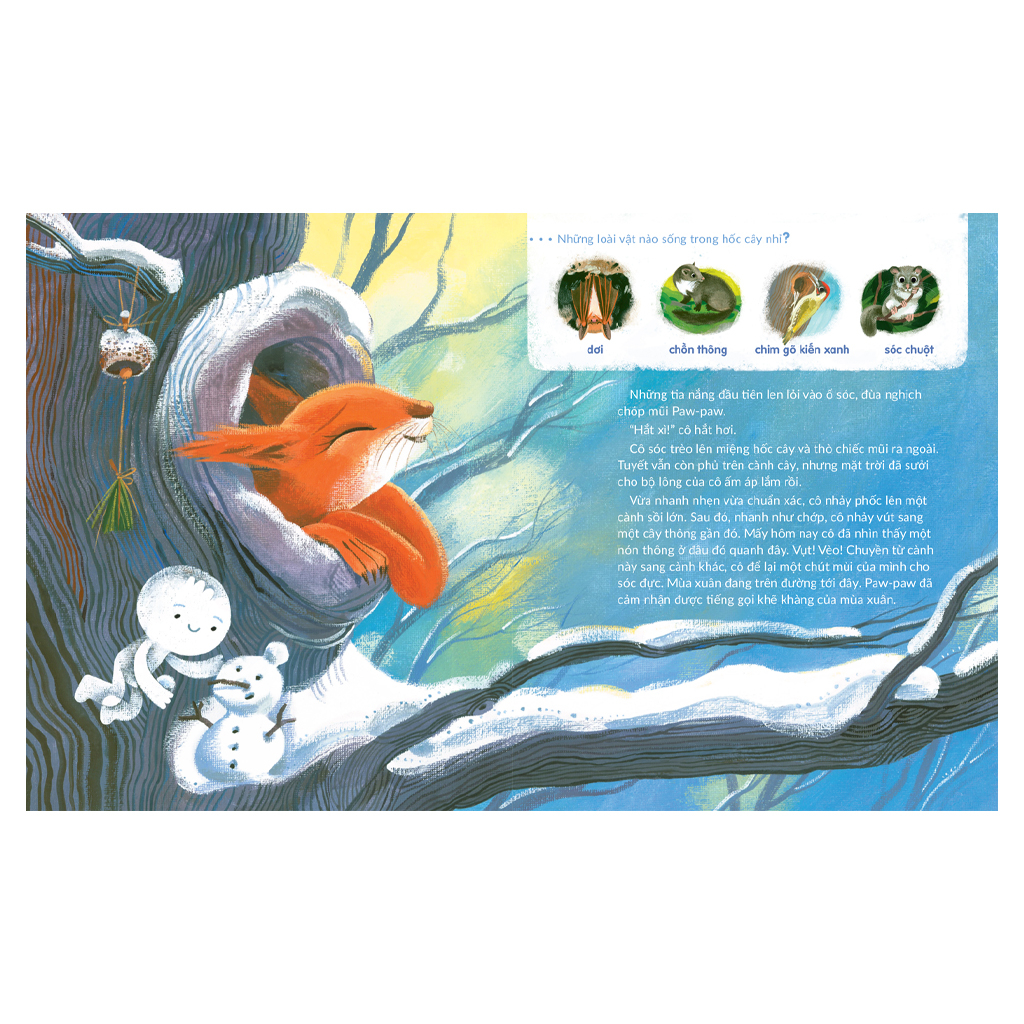 tuli tuli kể chuyện nhà ai ở đâu - nhà sóc trong rừng sâu