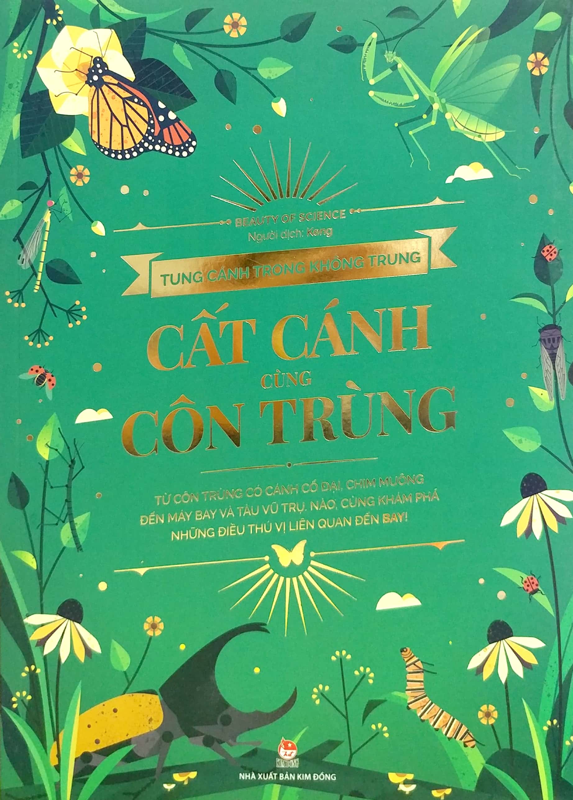 tung cánh trong không trung - cất cánh cùng côn trùng