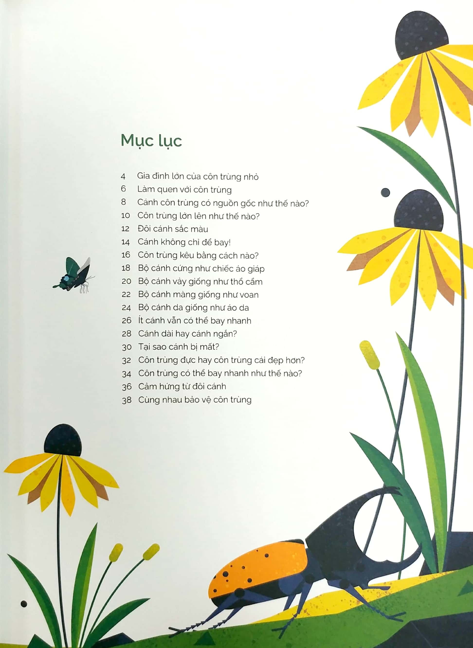 tung cánh trong không trung - cất cánh cùng côn trùng