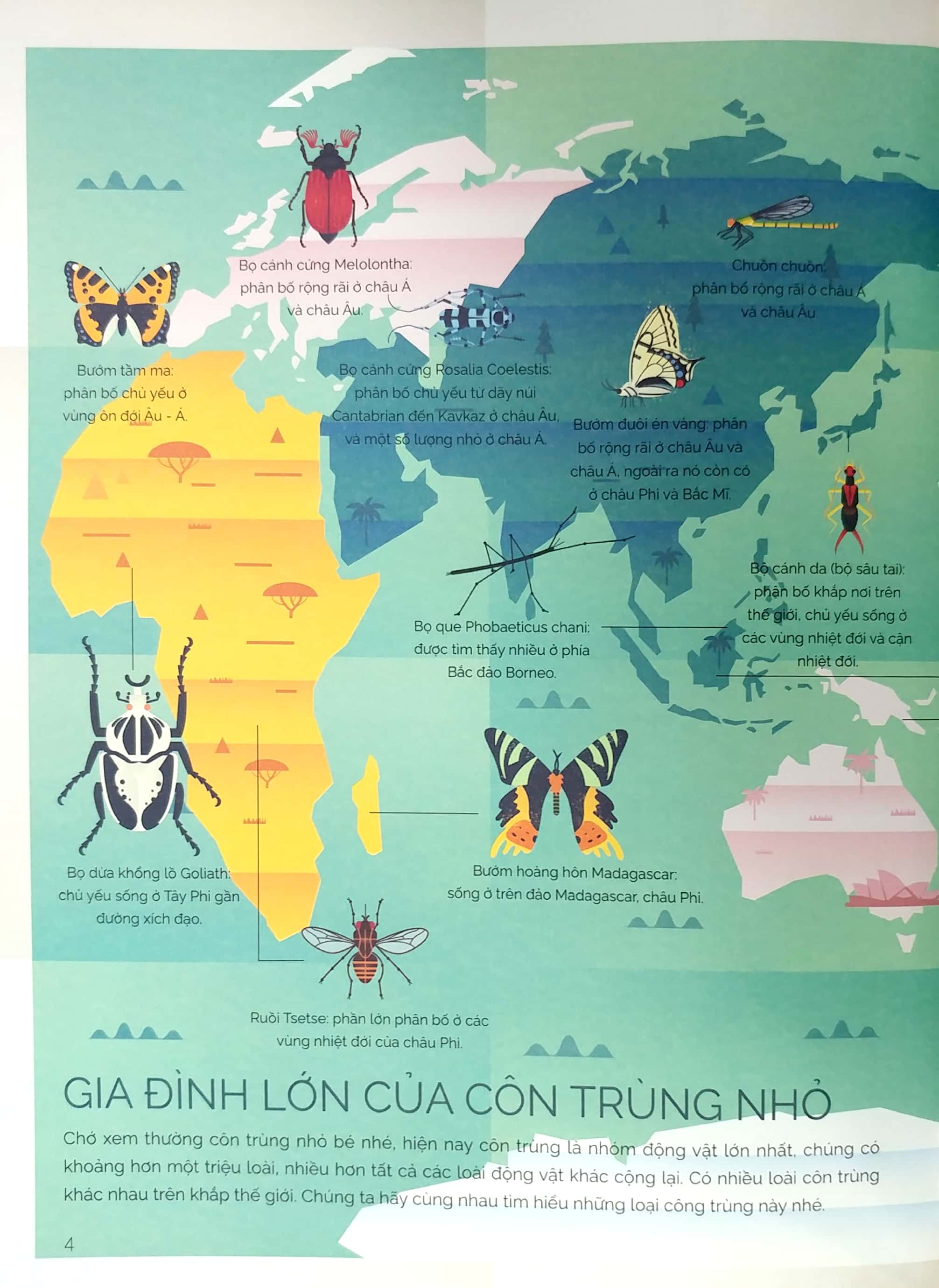 tung cánh trong không trung - cất cánh cùng côn trùng