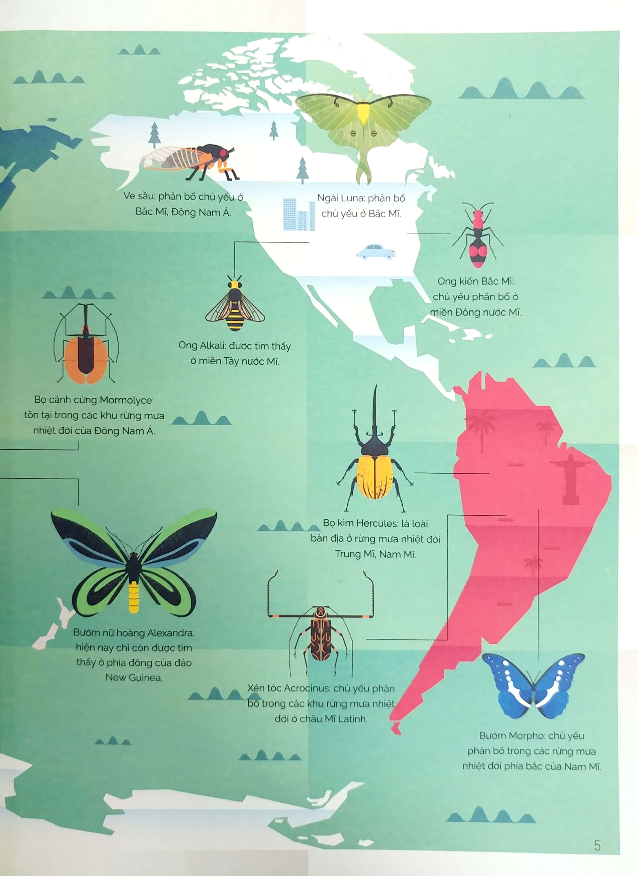 tung cánh trong không trung - cất cánh cùng côn trùng