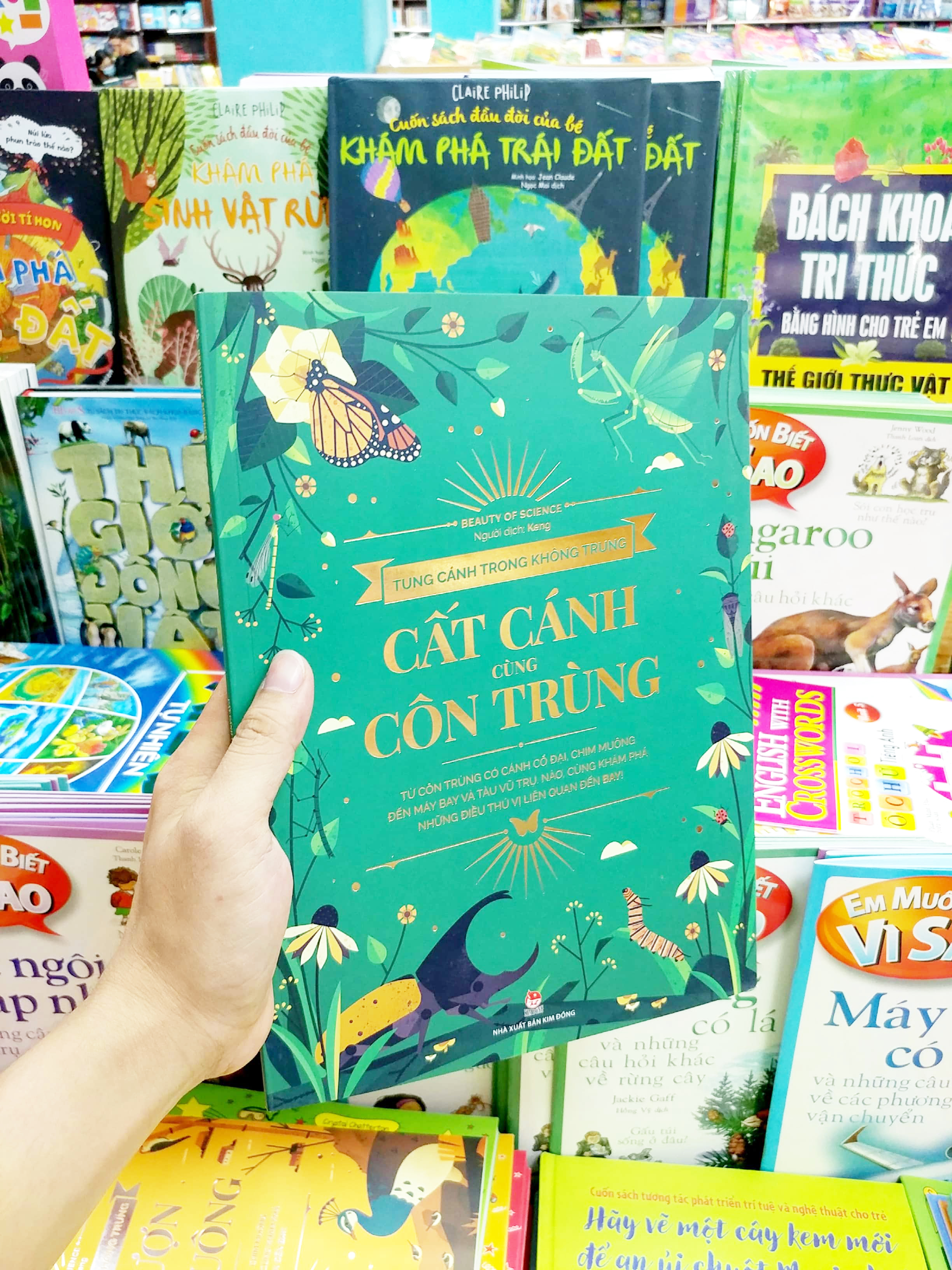 tung cánh trong không trung - cất cánh cùng côn trùng