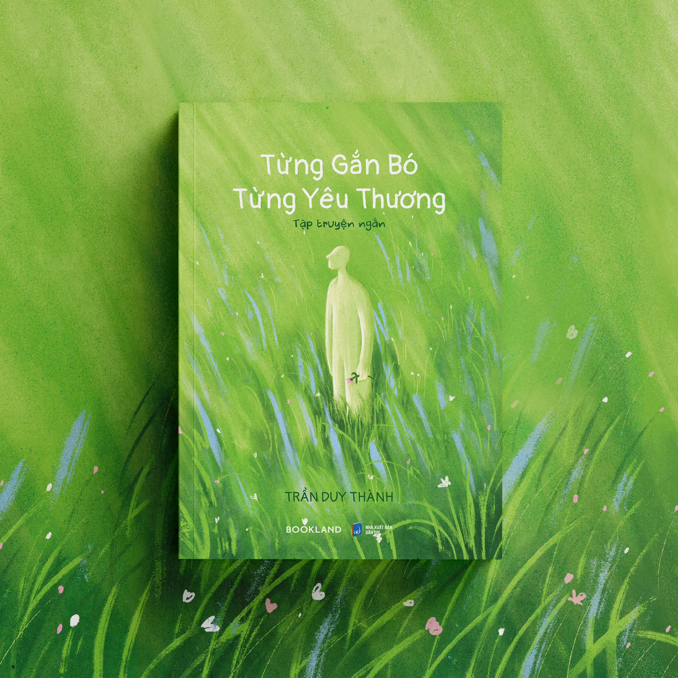 Tung Gan Bo, Tung Yeu Thuong - Tang Kem Postcard