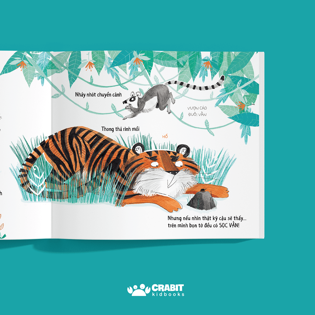 tưởng khác mà giống