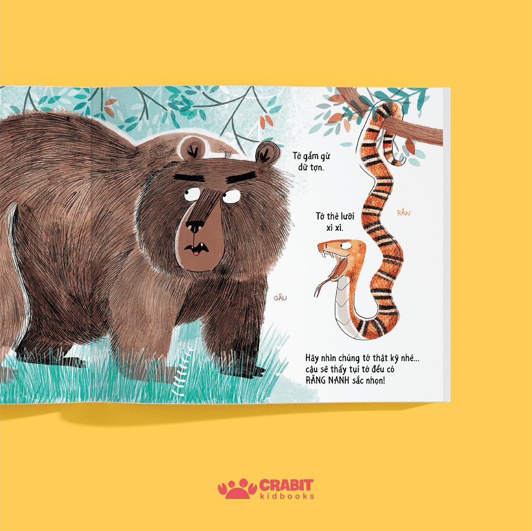 tưởng khác mà giống