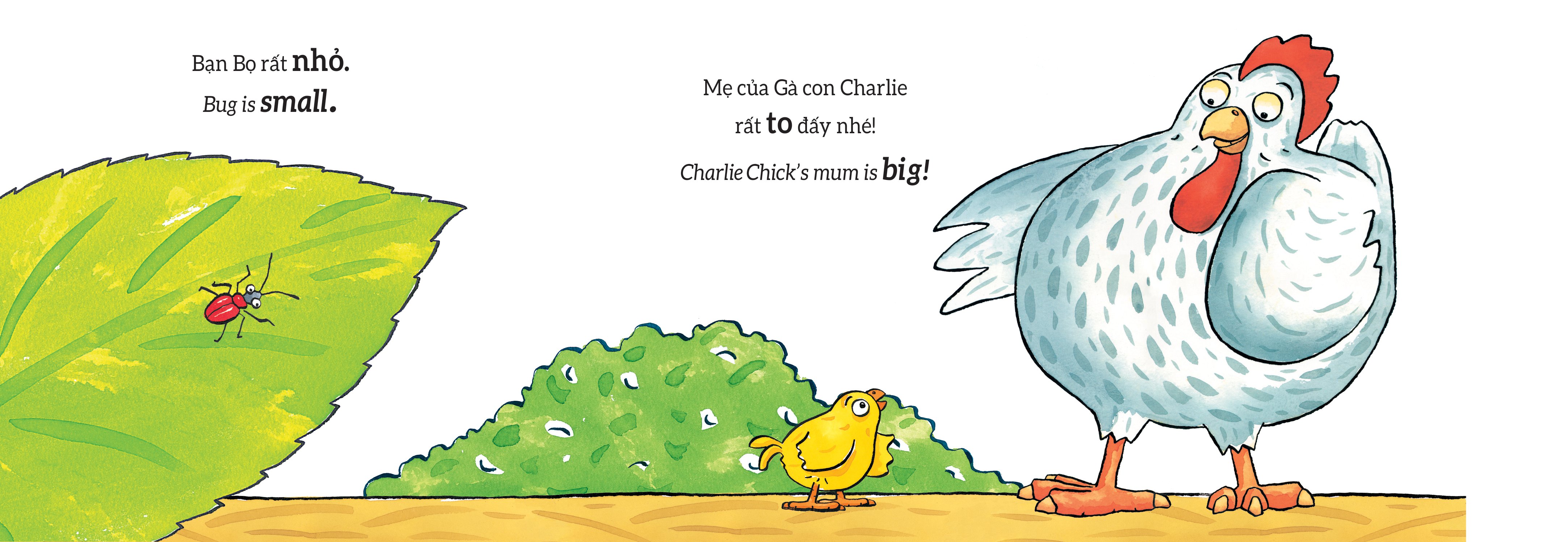 tương tác lật mở - các từ trái nghĩa - opposites