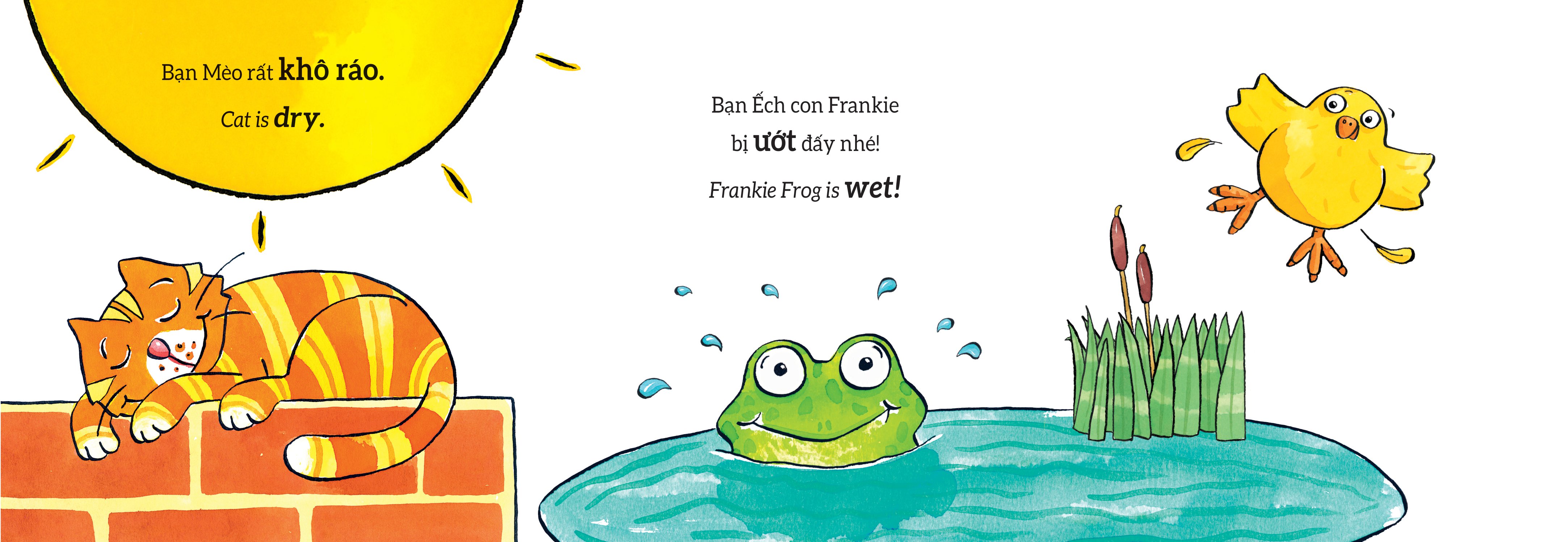 tương tác lật mở - các từ trái nghĩa - opposites